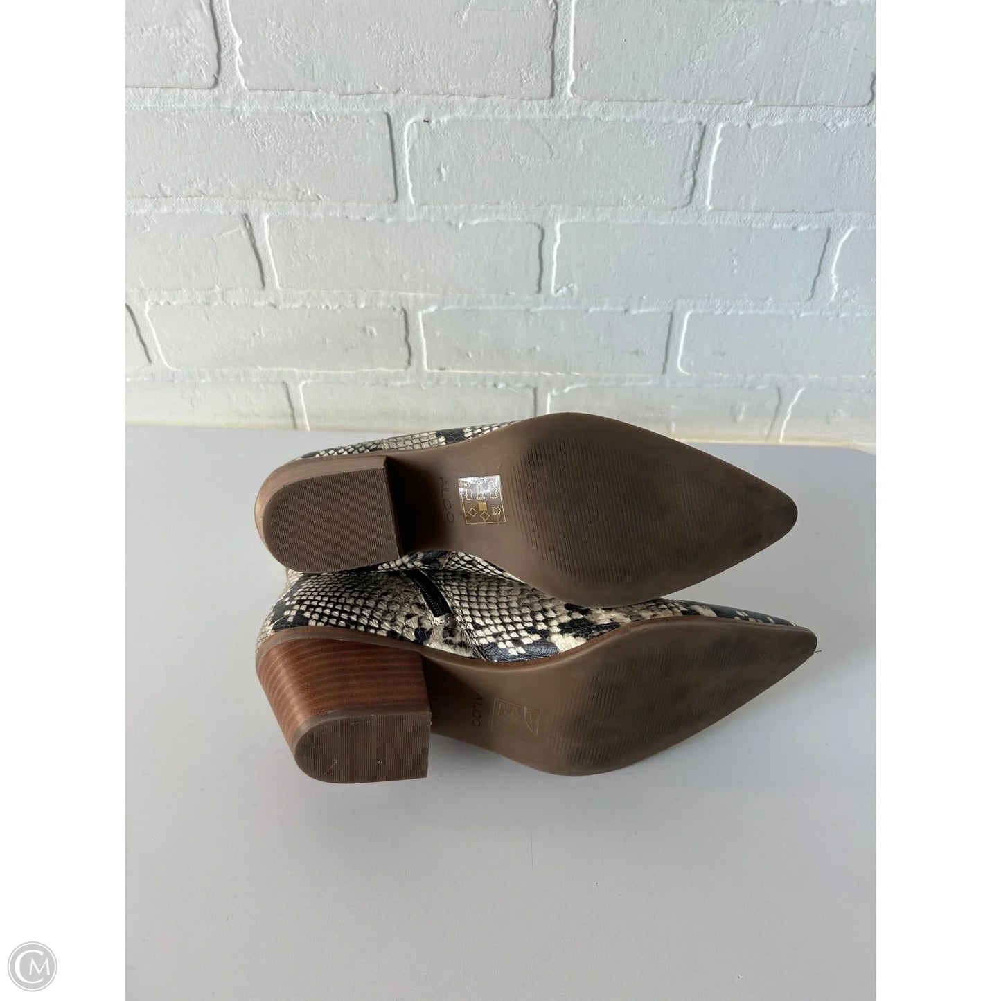 Boots Ankle Heels By Aldo In Snakeskin Print, Size: 11