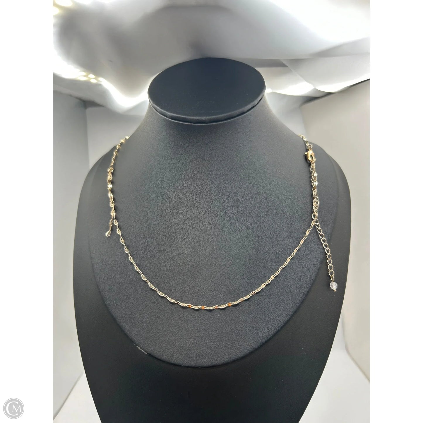 Necklace Chain By Clothes Mentor