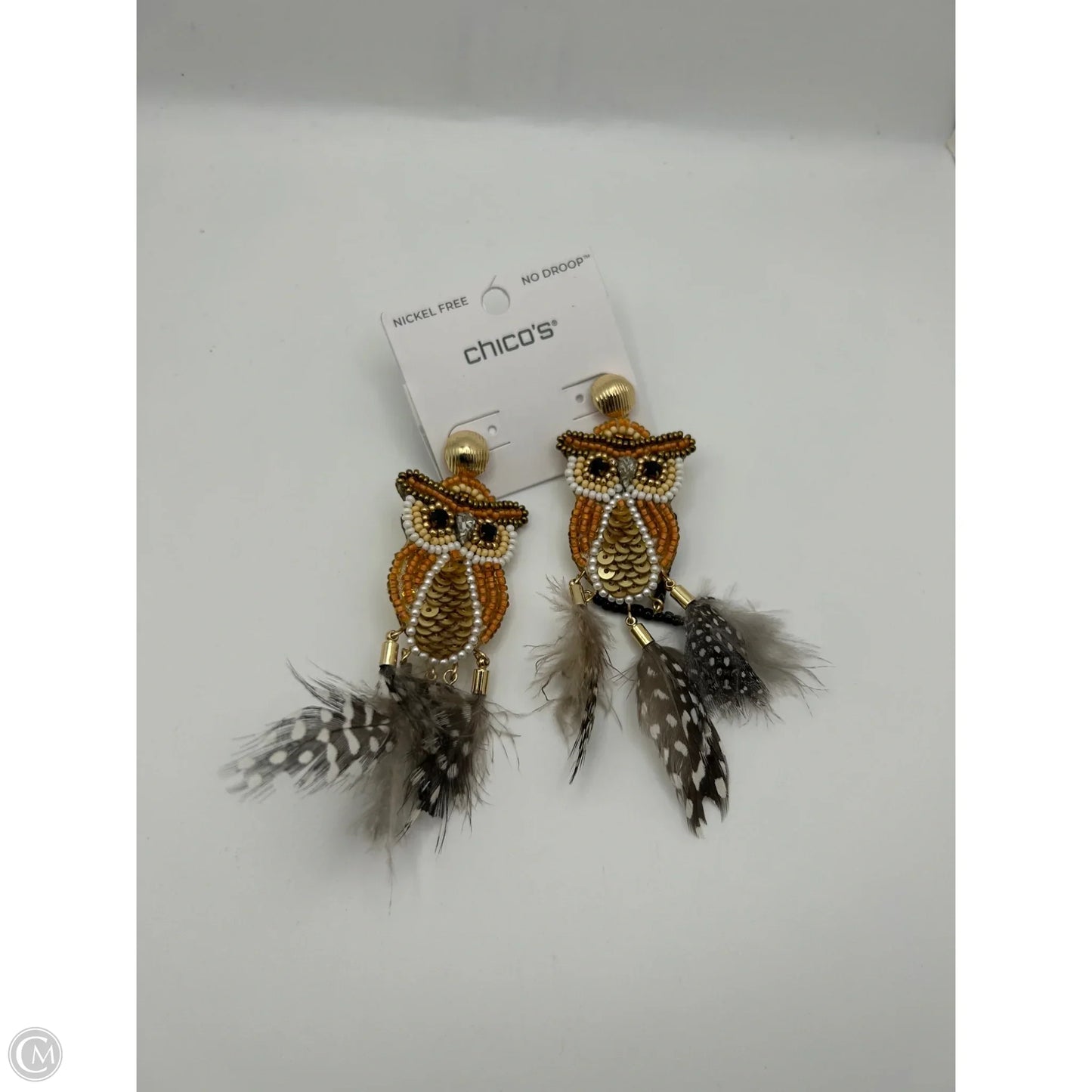 Earrings Dangle/drop By Chicos