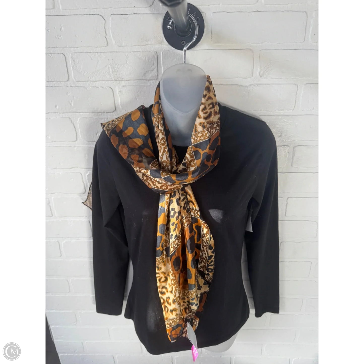 Scarf Long By Clothes Mentor