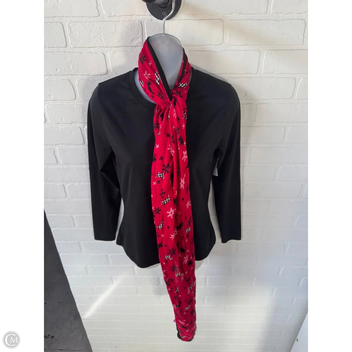 Scarf Long By Clothes Mentor