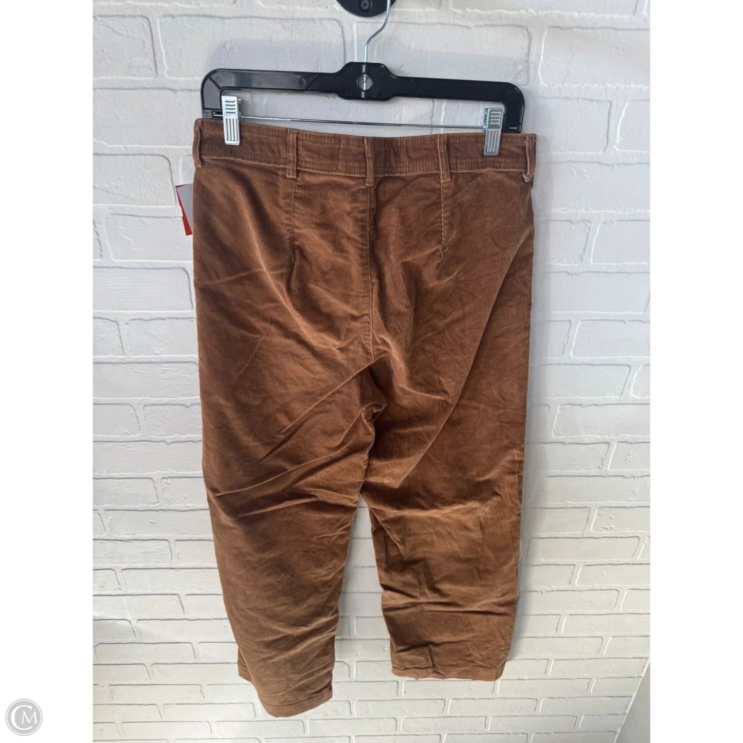 Pants Corduroy By Everlane In Brown, Size: 8
