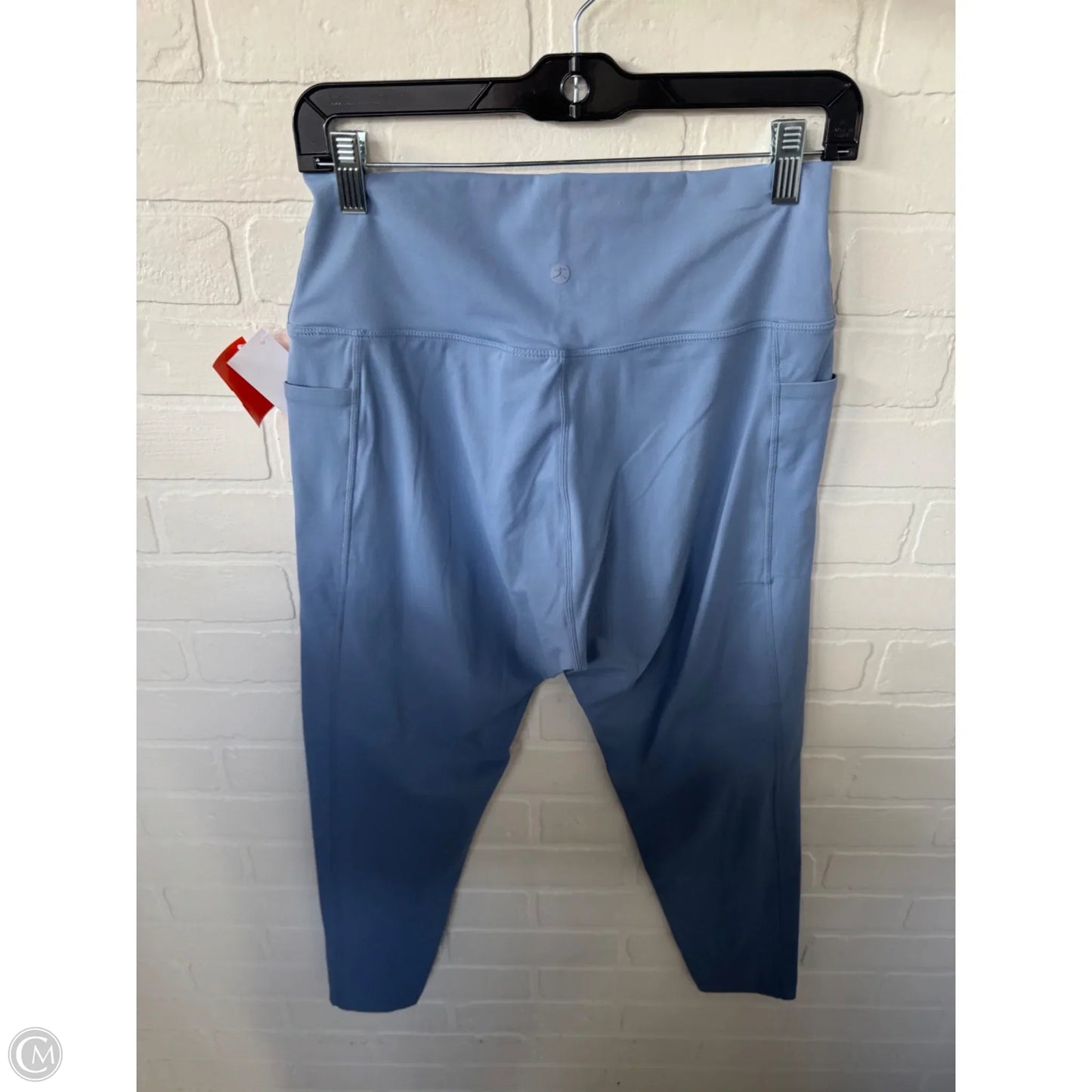 Athletic Leggings By Danskin In Blue, Size: 16