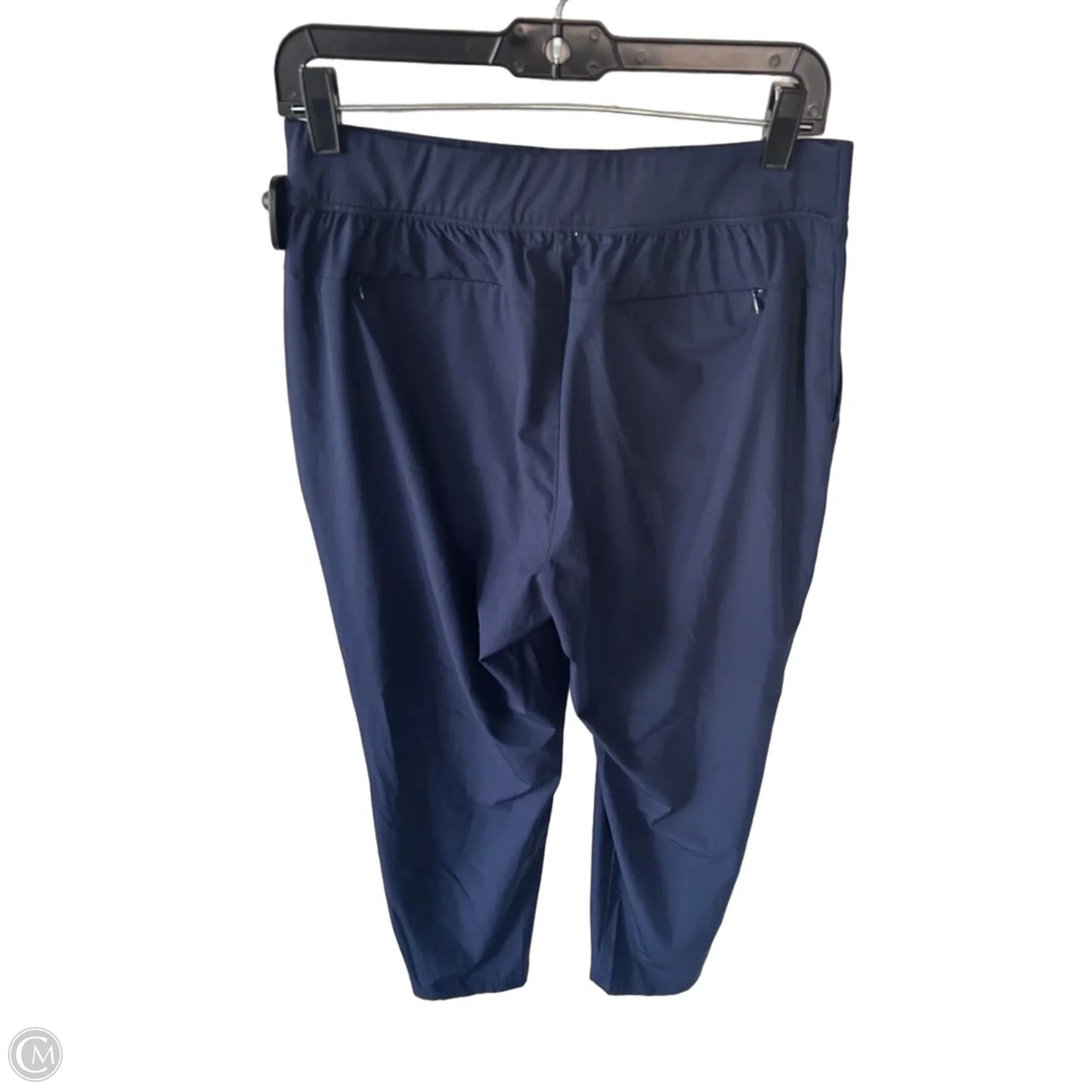 Athletic Pants By Tommy Bahama In Blue, Size: L