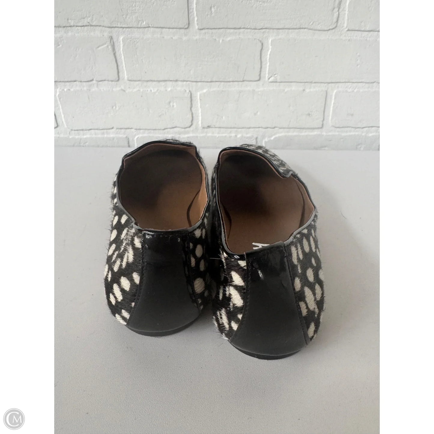 Shoes Flats By Franco Sarto In Black & Cream, Size: 8.5