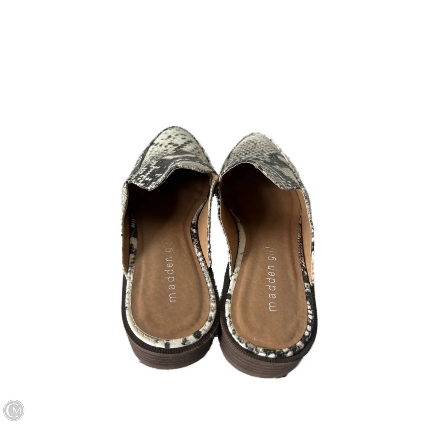 Shoes Flats By Madden Girl In Snakeskin Print, Size: 6