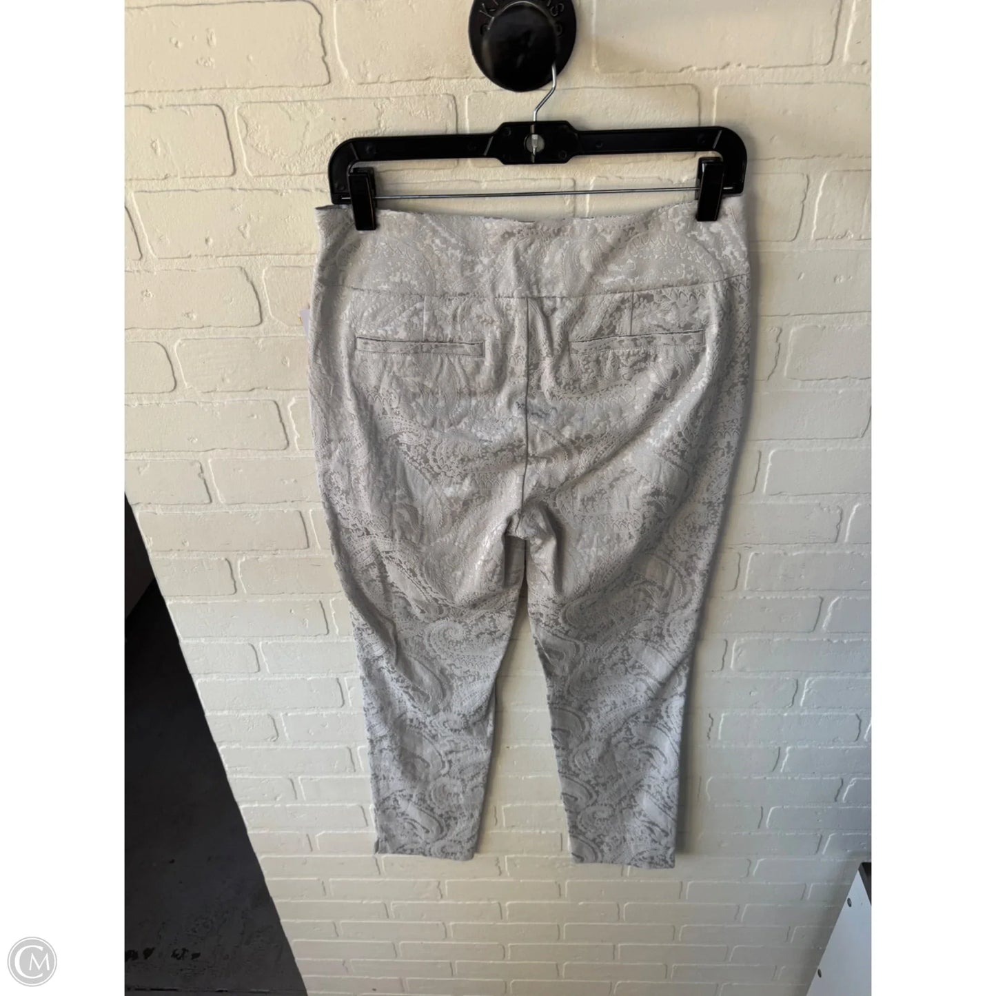 Pants Other By Soft Surroundings In Silver, Size: 4