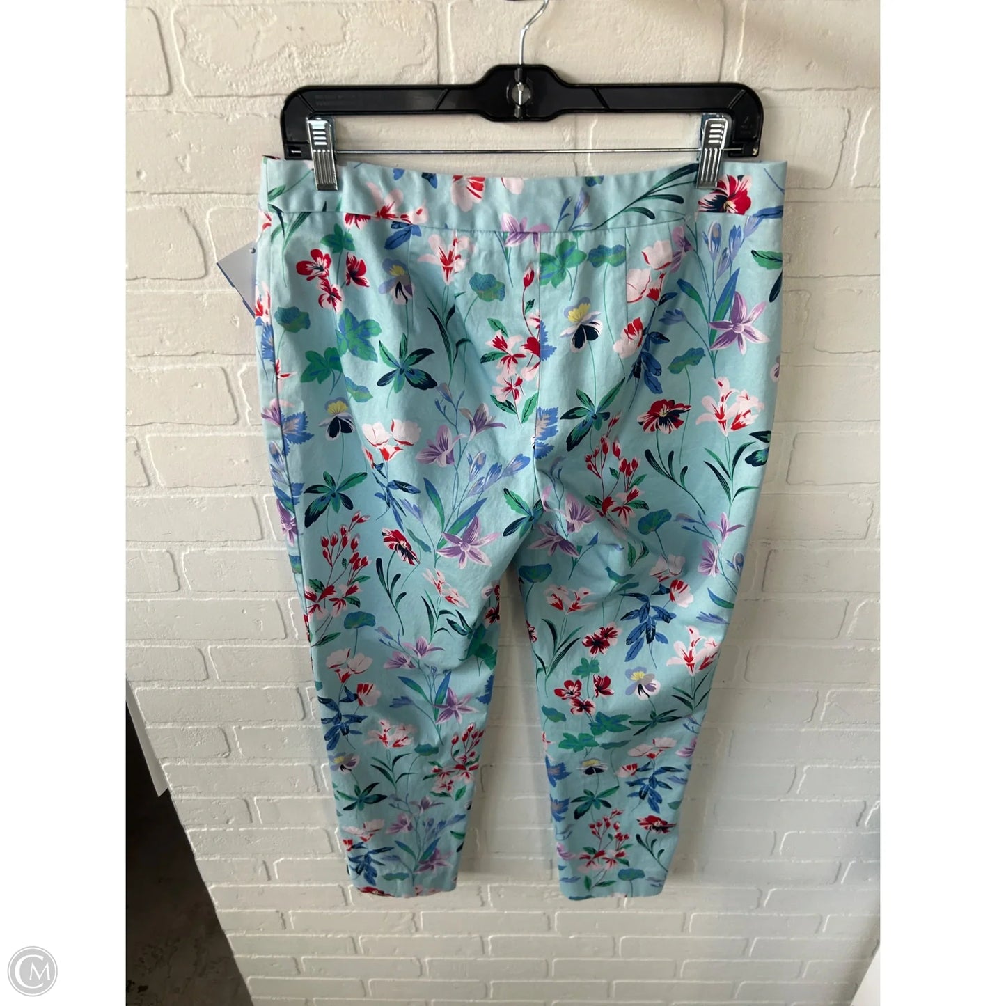 Pants Other By Talbots In Blue & Pink, Size: 6