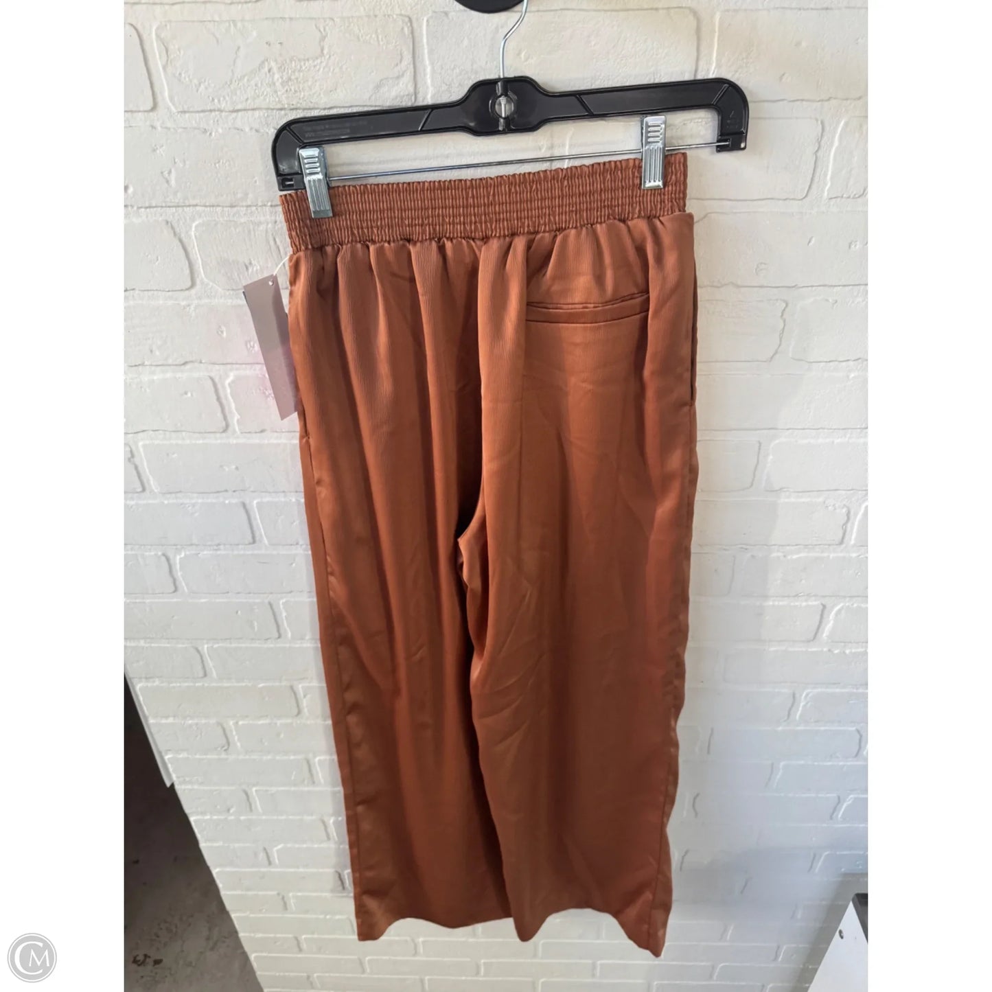 Pants Other By Clothes Mentor In Brown, Size: 4