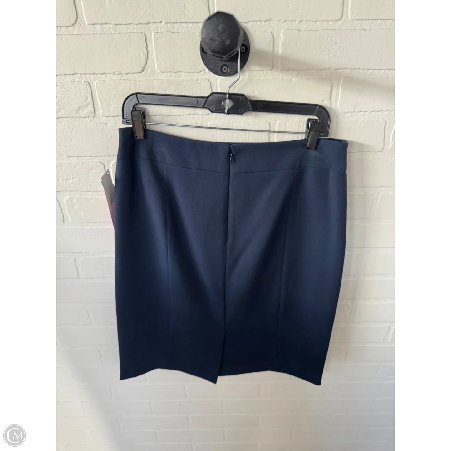 Skirt Midi By Alex Marie In Blue, Size: 10