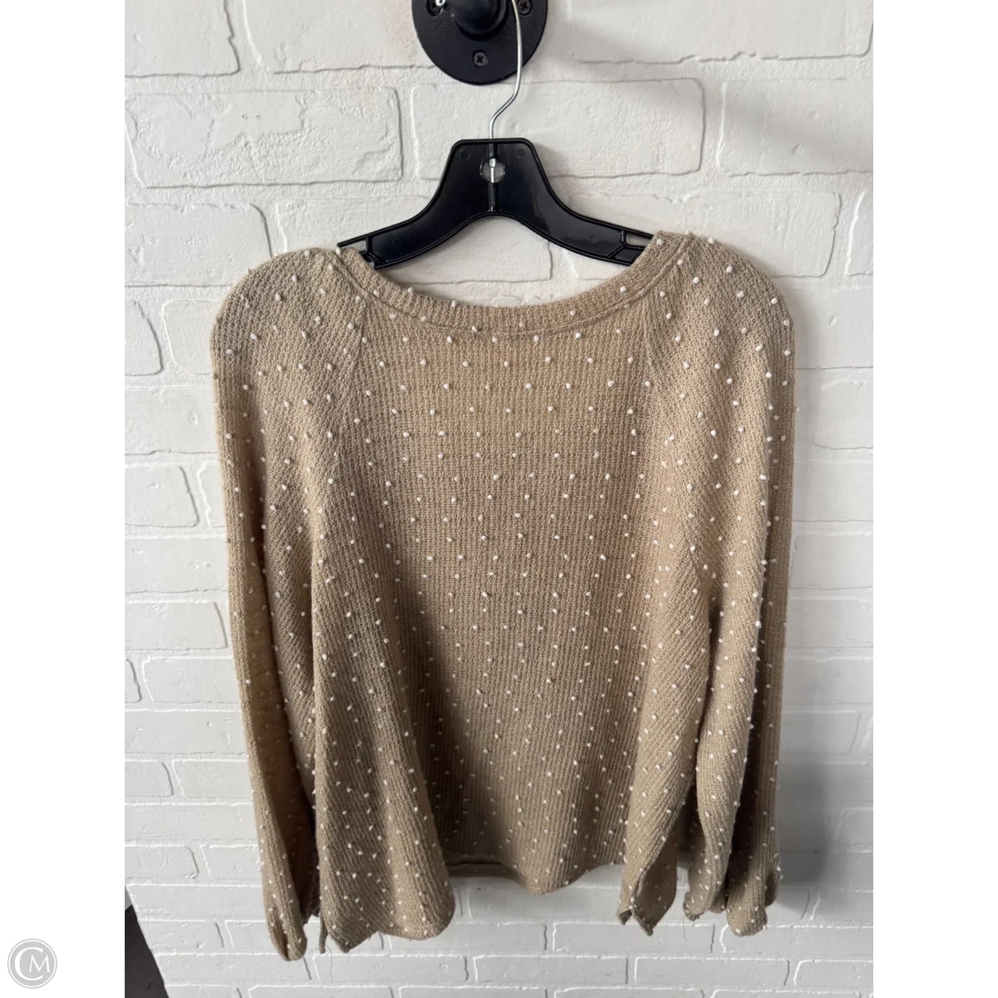 Top Long Sleeve By Blu Pepper In Tan & White, Size: 2x