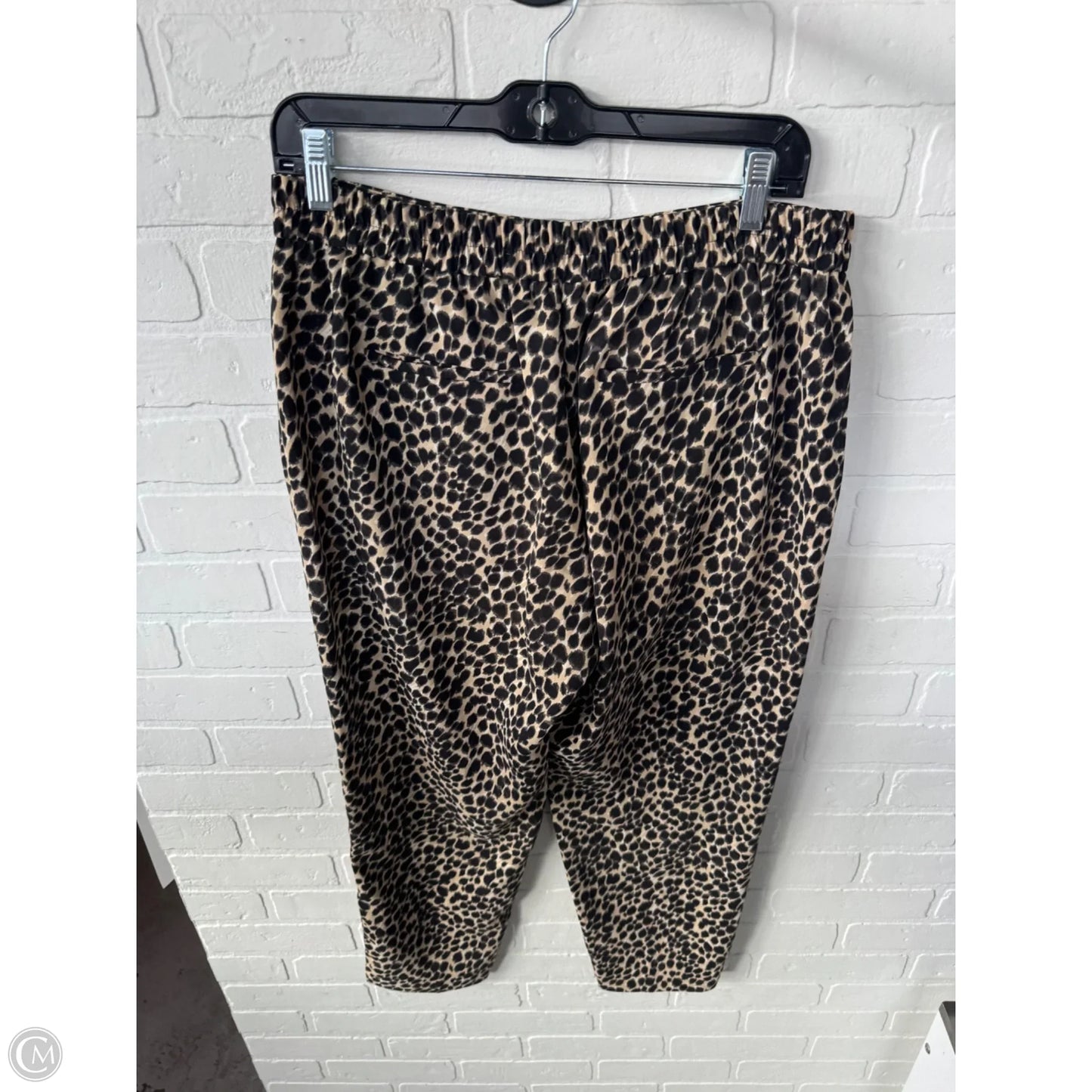 Pants Other By J. Crew In Animal Print, Size: 10
