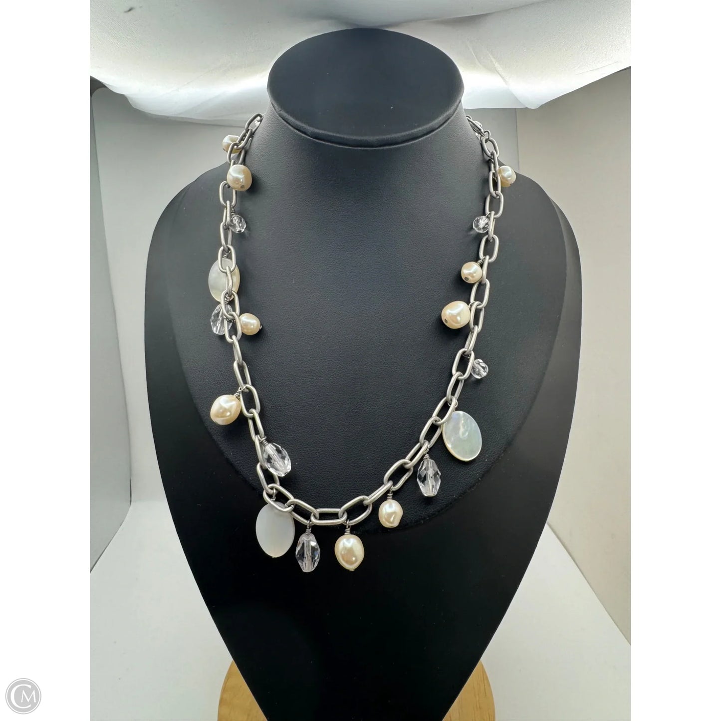 Necklace Chain By Clothes Mentor