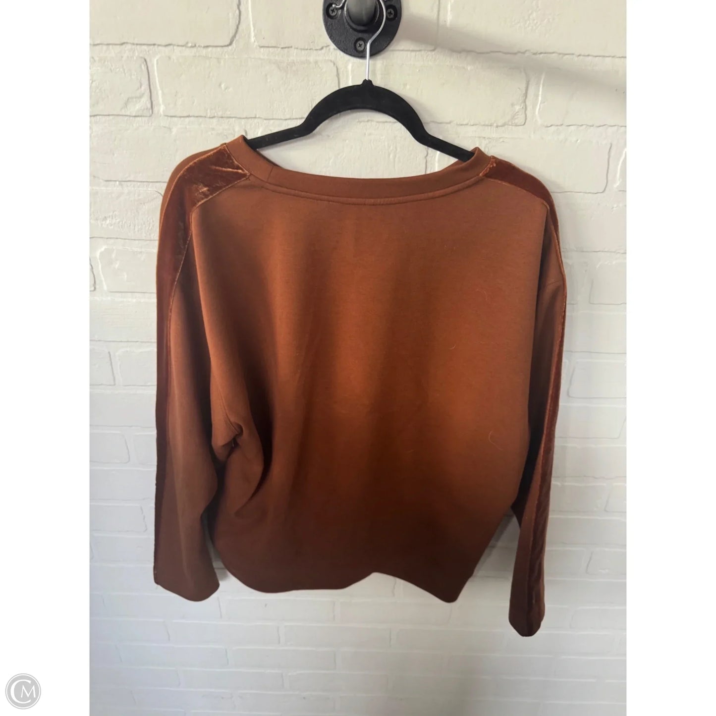 Sweatshirt Crewneck By Calvin Klein In Brown, Size: L