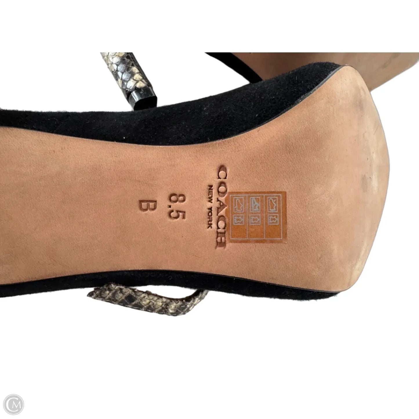 Shoes Designer By Coach In Black & Tan, Size: 8.5