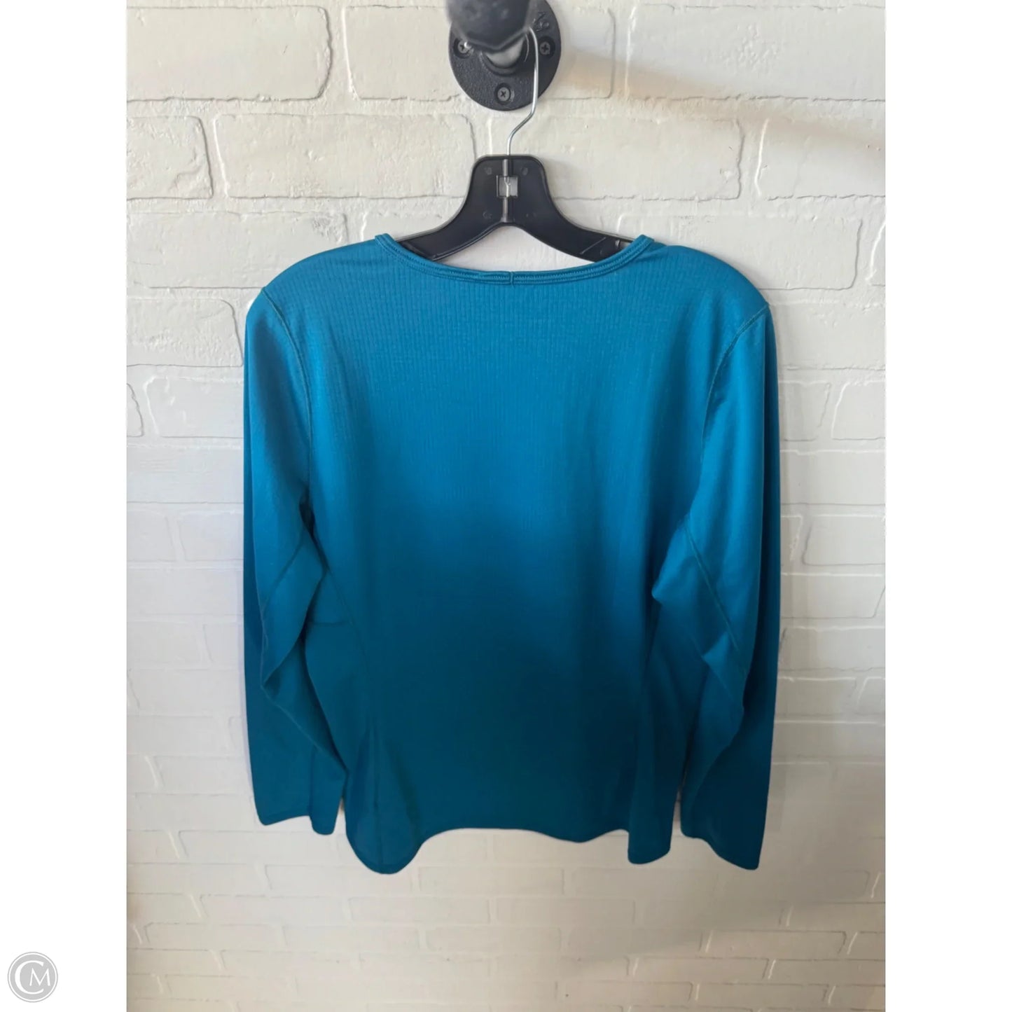 Athletic Top Long Sleeve Crewneck By Patagonia In Blue, Size: L