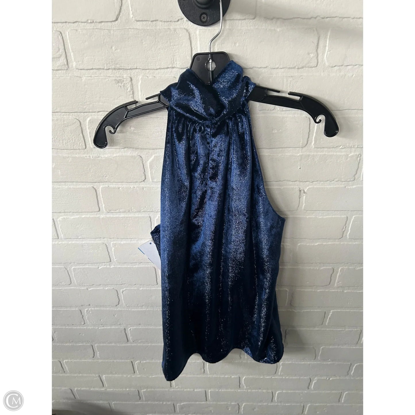 Top Sleeveless By Ramy Brook In Blue, Size: M