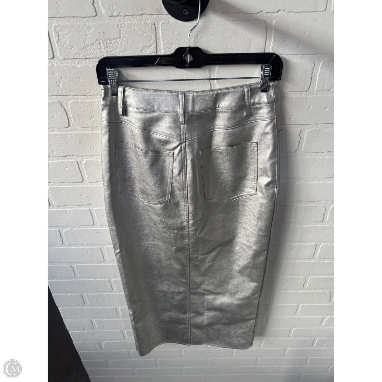 Skirt Midi By Wayf In Silver, Size: 0