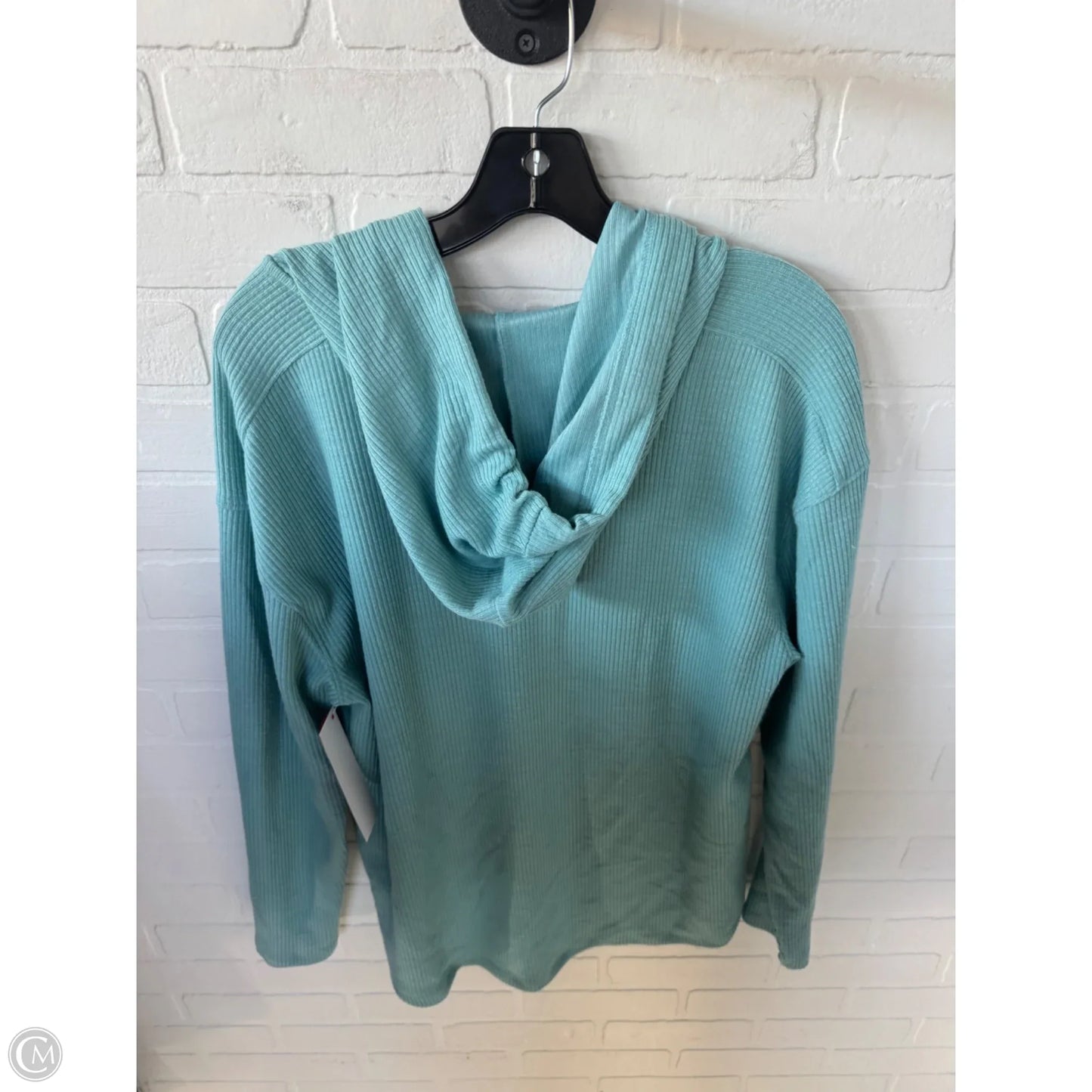 Top Long Sleeve By Time And Tru In Blue, Size: L