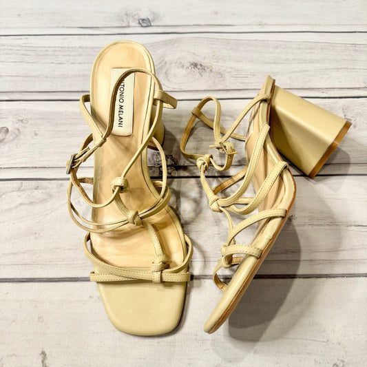 Sandals Heels Block By Antonio Melani  Size: 9