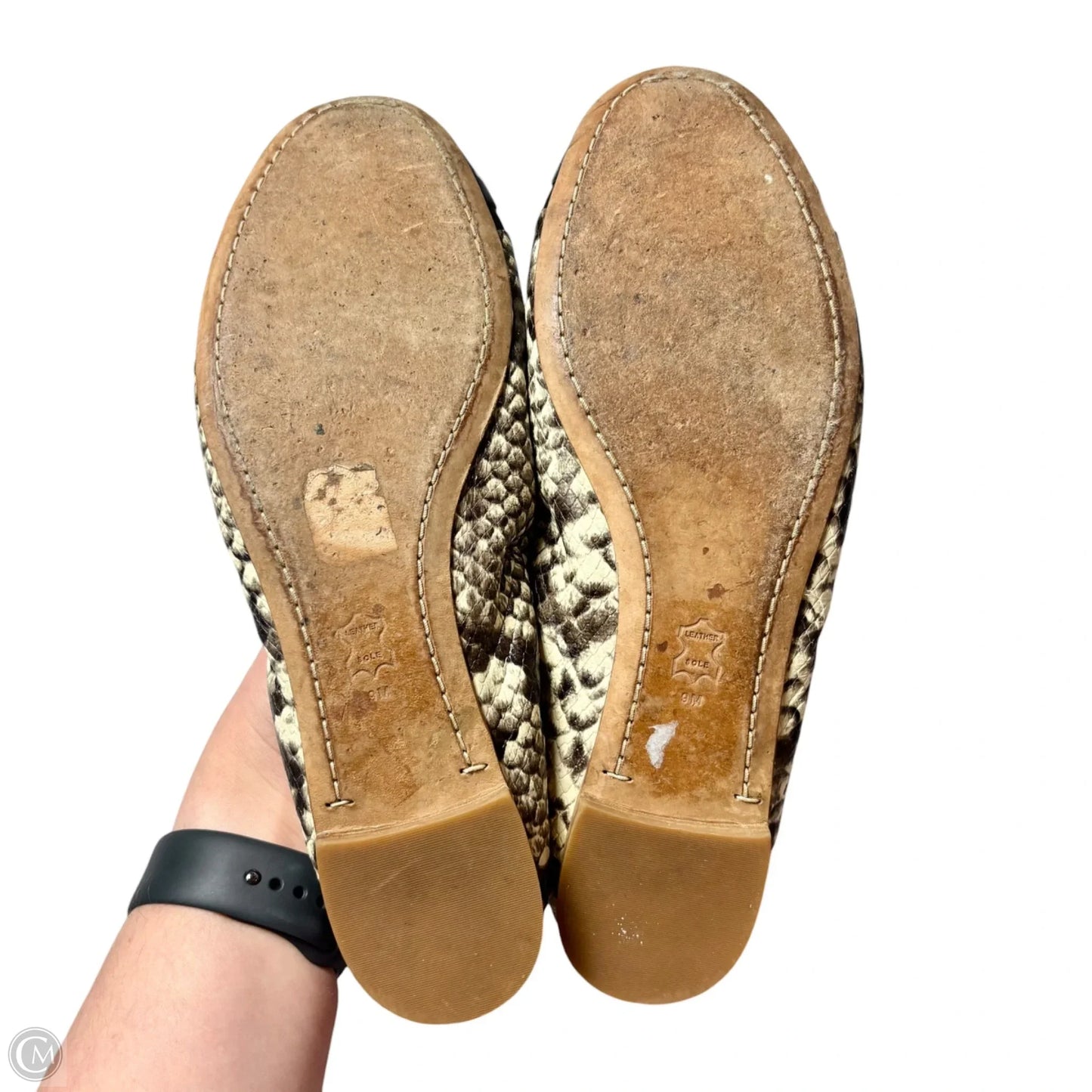 Shoes Designer By Tory Burch In Snakeskin Print, Size: 9