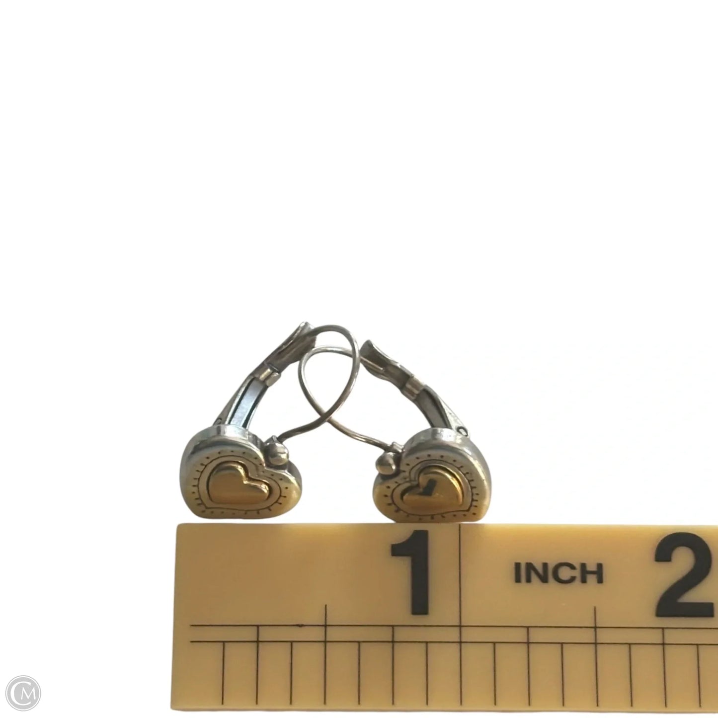 Earrings Dangle/drop
