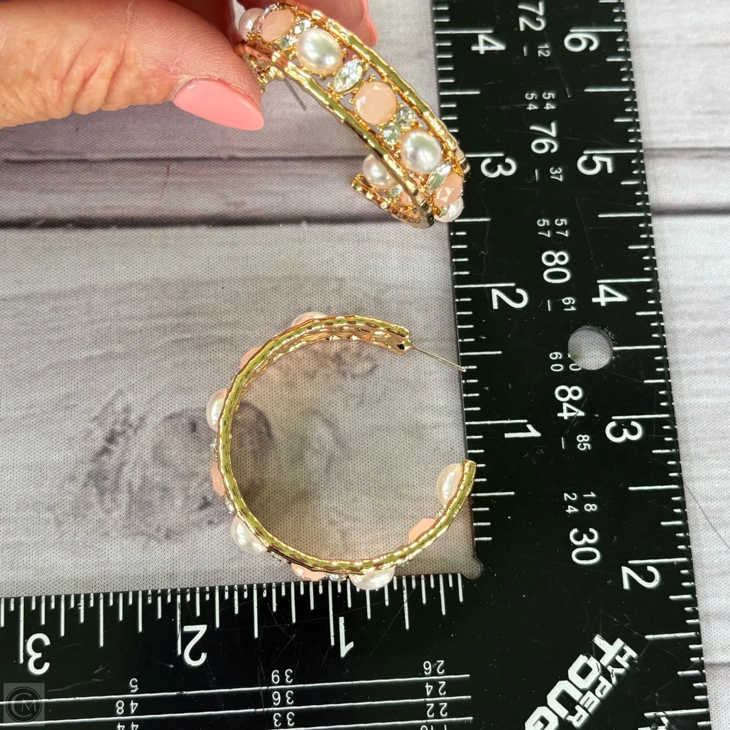 Earrings Hoop