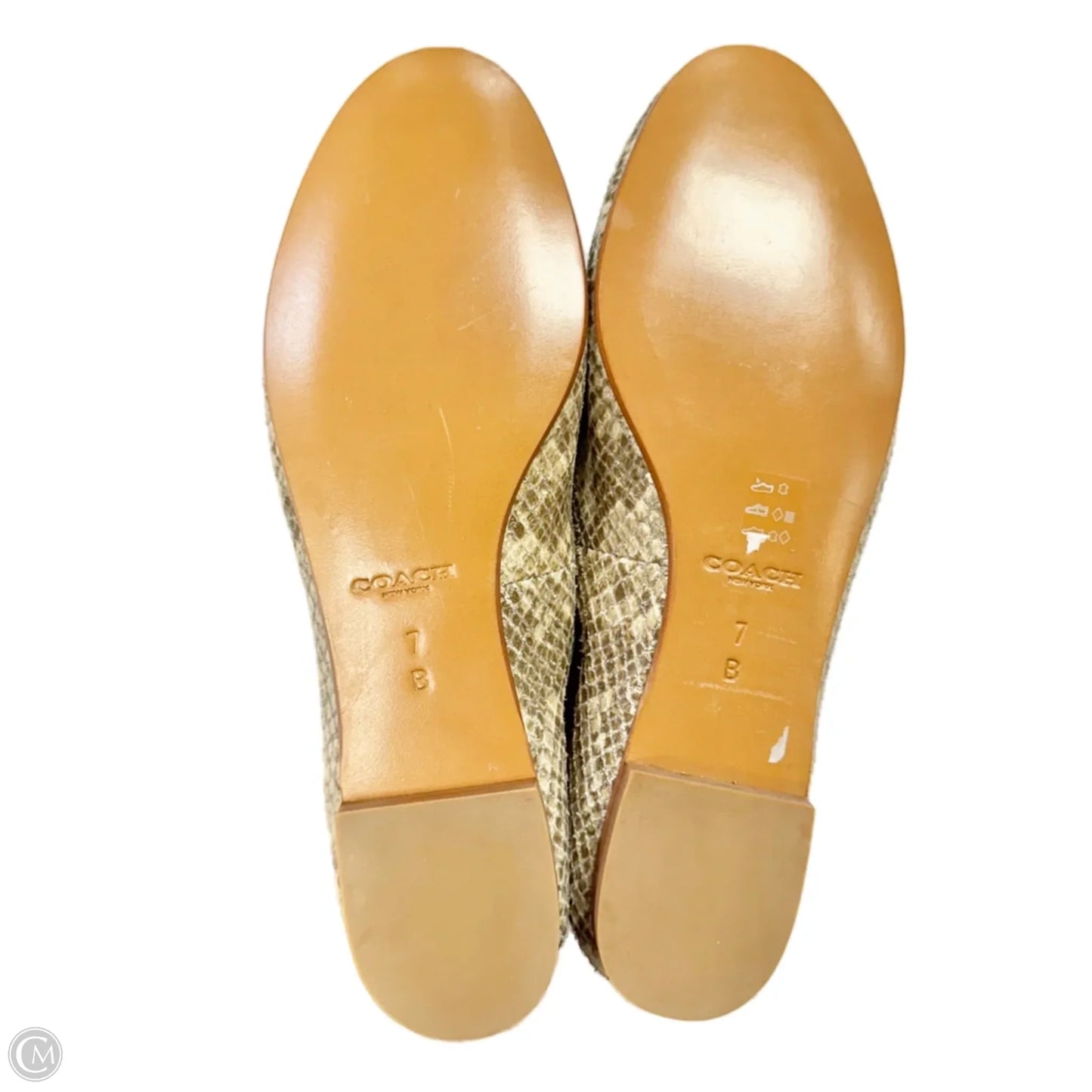 Shoes Designer By Coach In Snakeskin Print, Size: 7