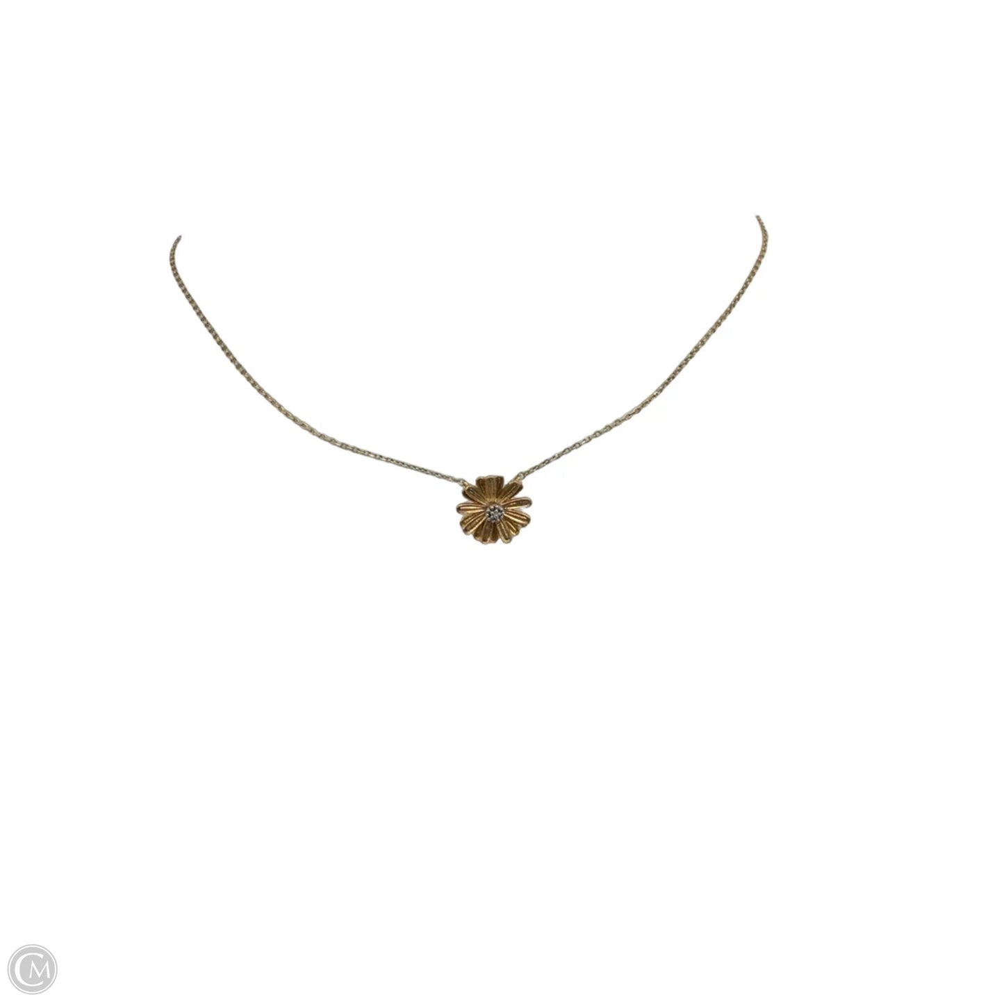 Necklace Pendant By Clothes Mentor