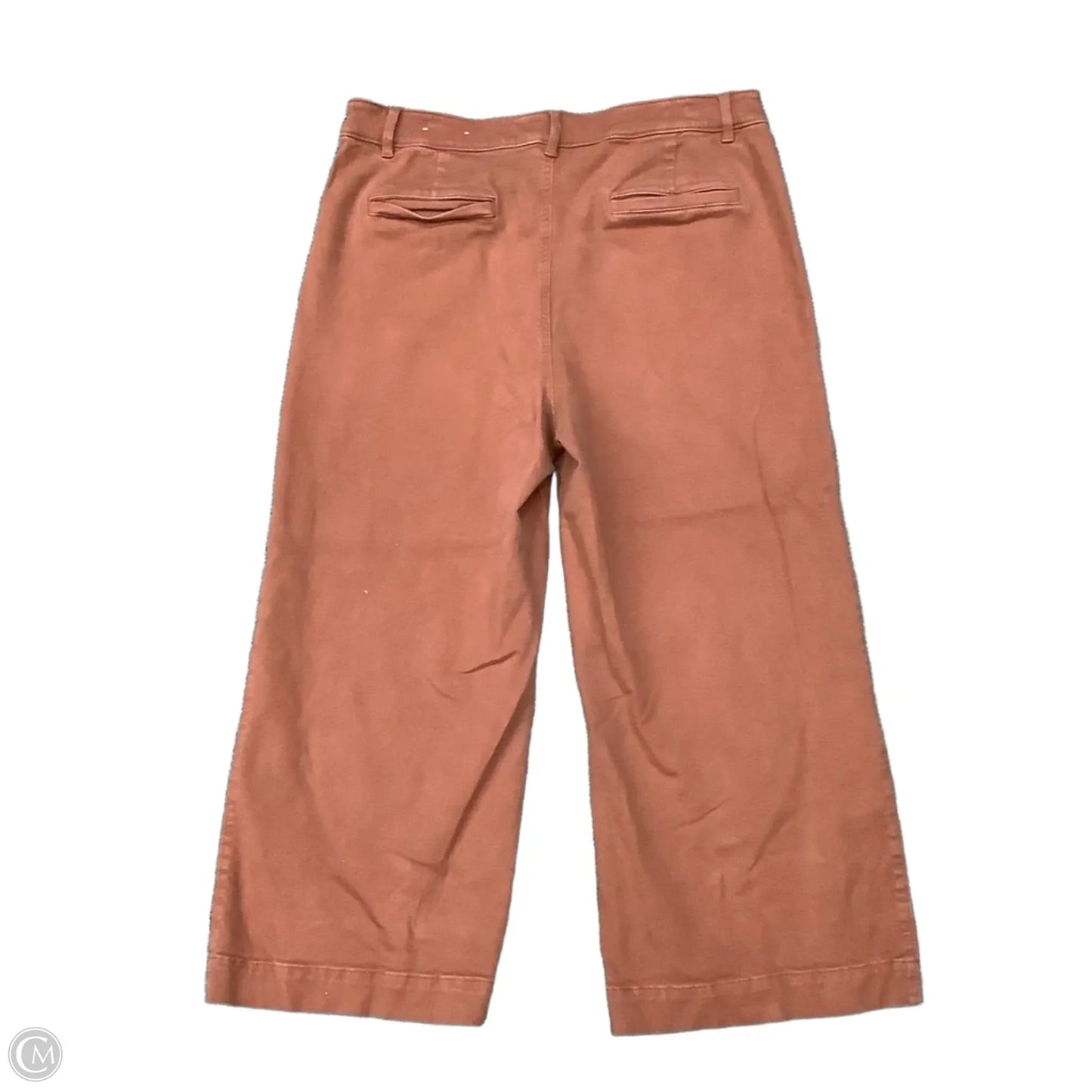 Pants Chinos & Khakis By Loft In Brown, Size: 16