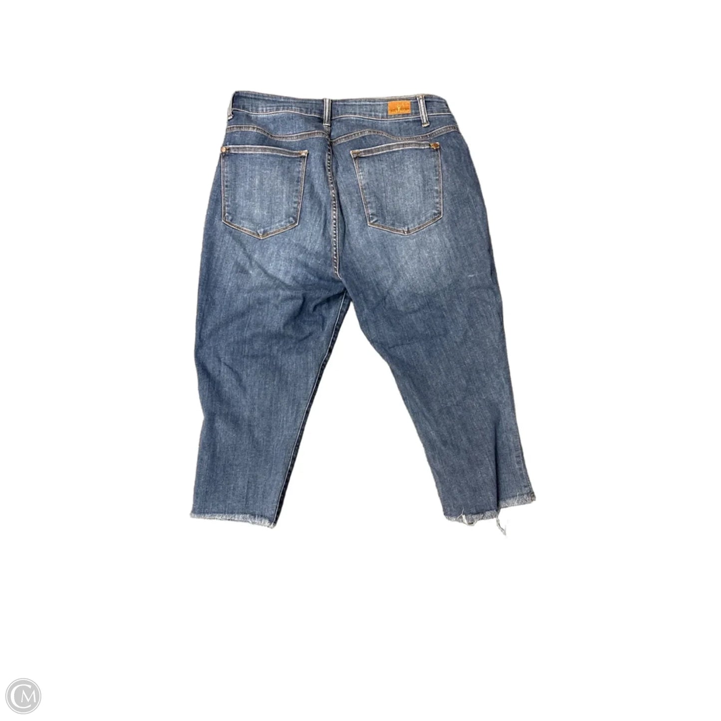 Capris By Judy Blue In Blue, Size: 18