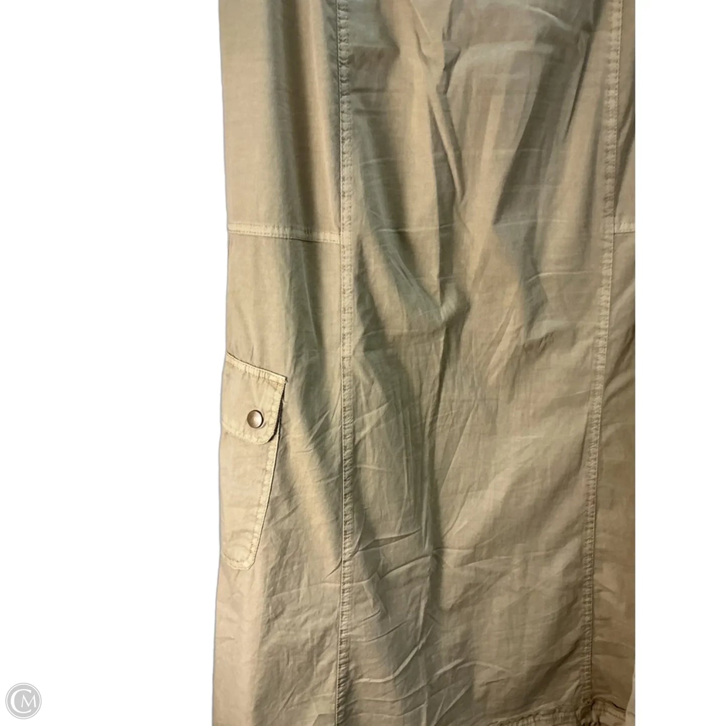 Skirt Maxi By Xcvi In Tan, Size: 2