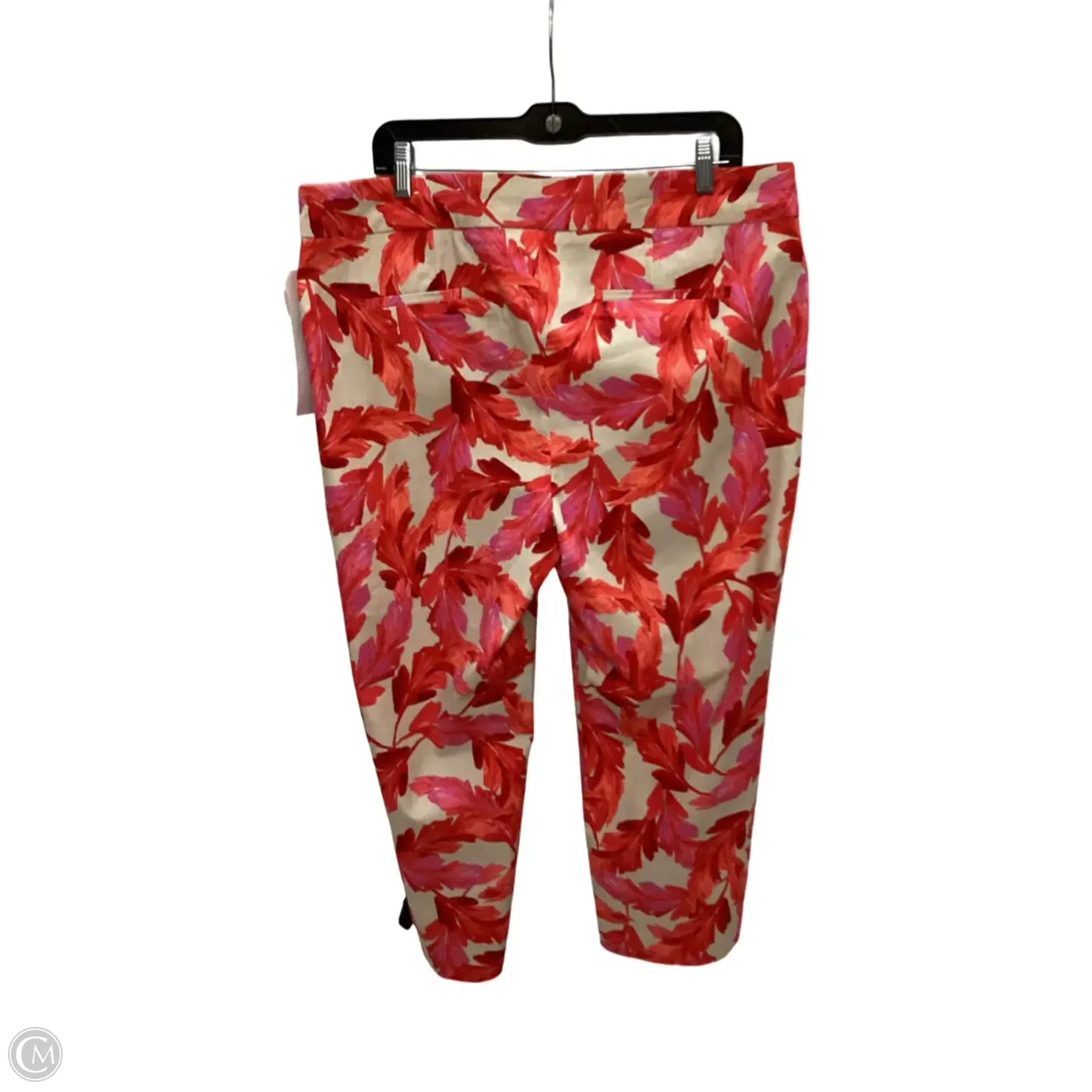Pants Chinos & Khakis By Chicos In Tropical Print, Size: 16