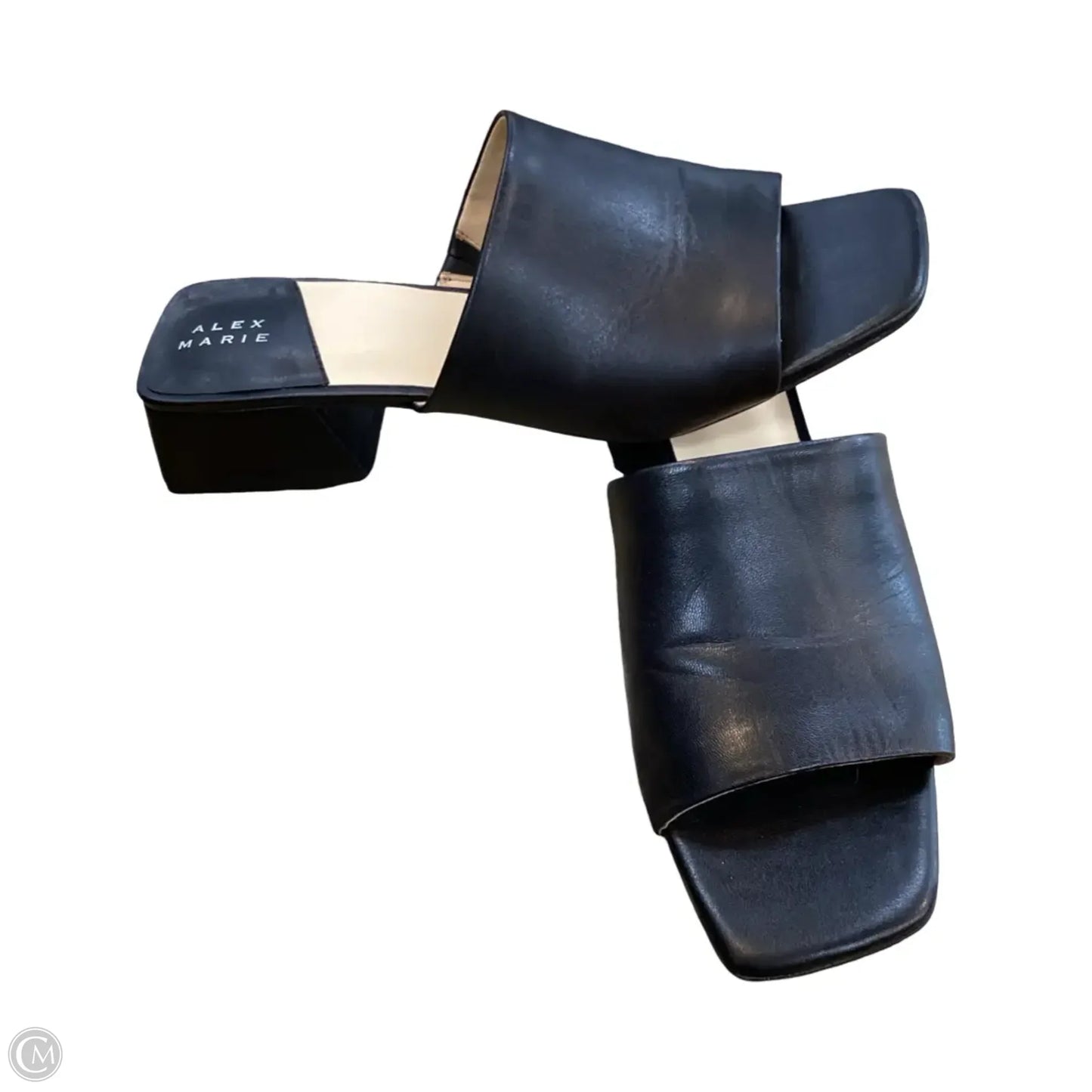 Shoes Heels Block By Alex Marie In Black, Size: 10