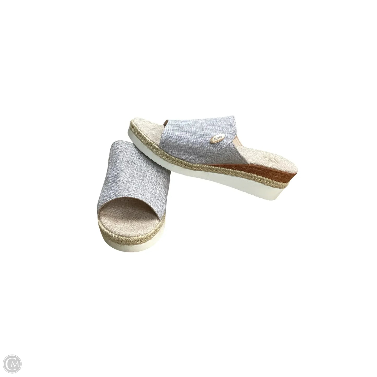 Sandals Heels Wedge By HANG In Blue, Size: 9.5