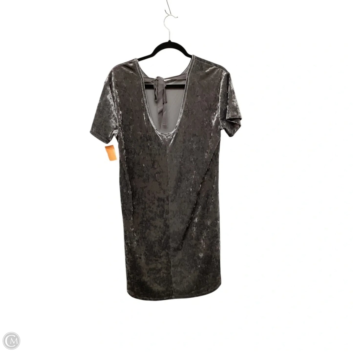 Dress Party Short By Z Supply In Grey, Size: S