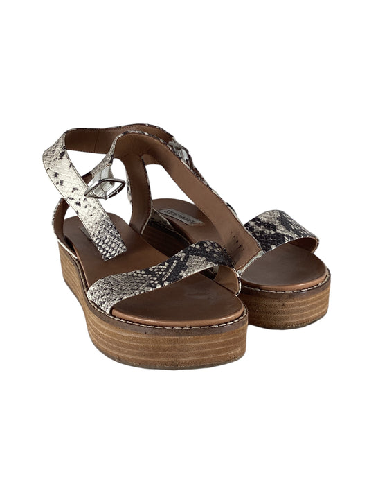 Sandals Heels Wedge By Steve Madden  Size: 6