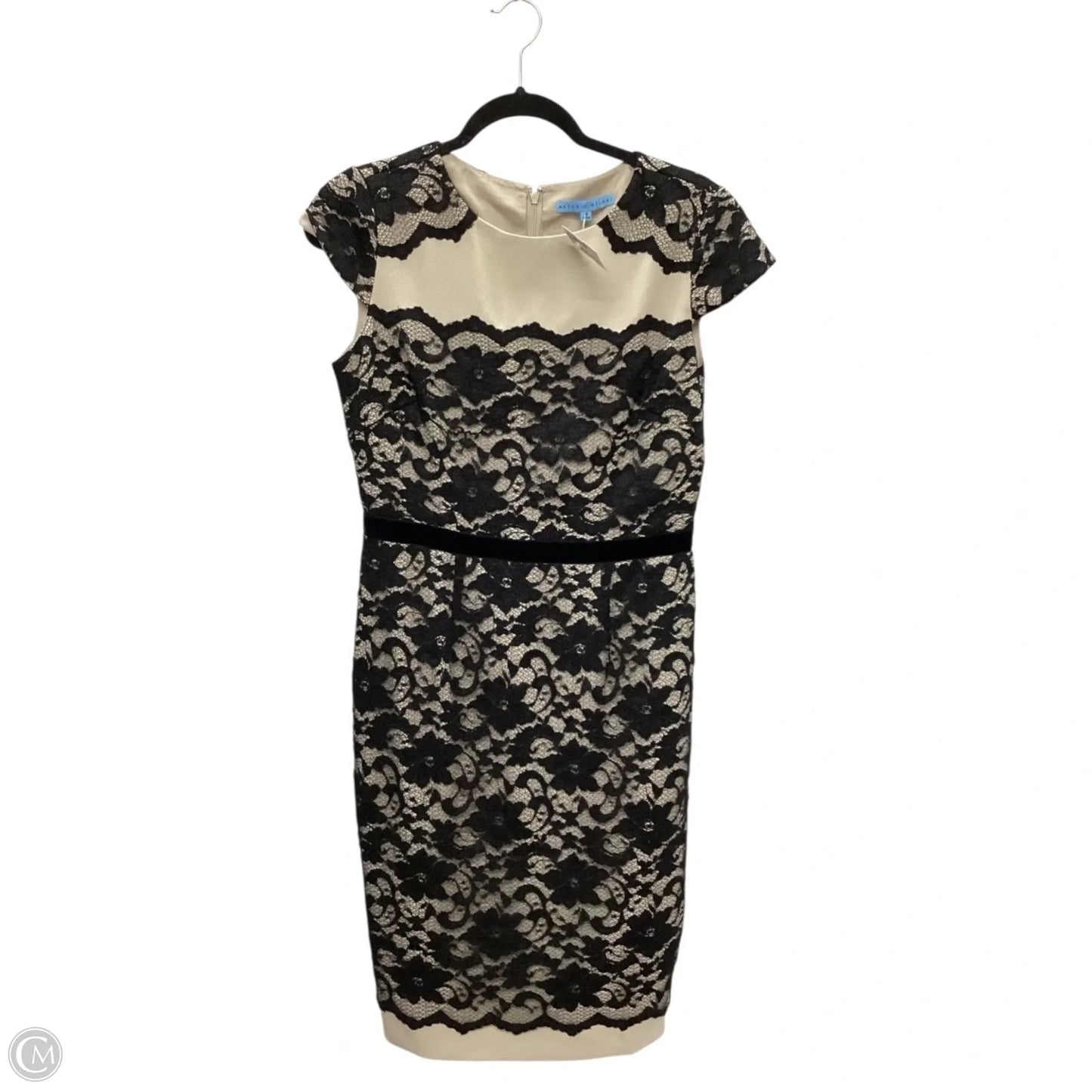 Dress Work By Antonio Melani In Black, Size: S