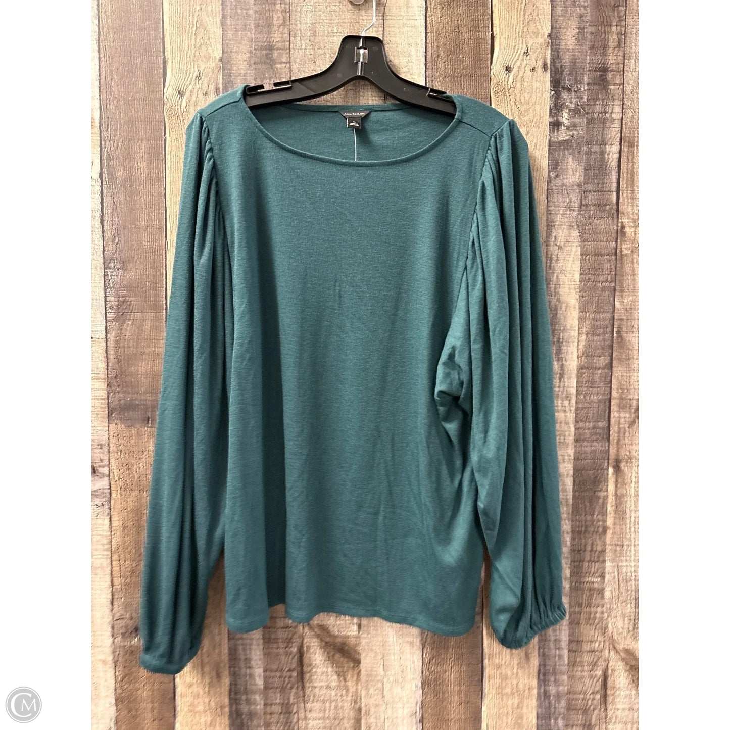 Top Long Sleeve By Ann Taylor In Green, Size: Xl