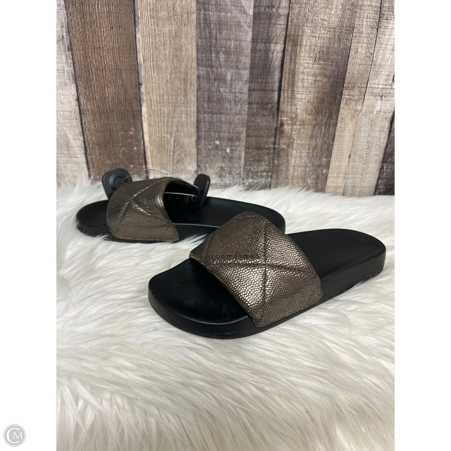 Sandals Designer By All Saints In Bronze, Size: 9