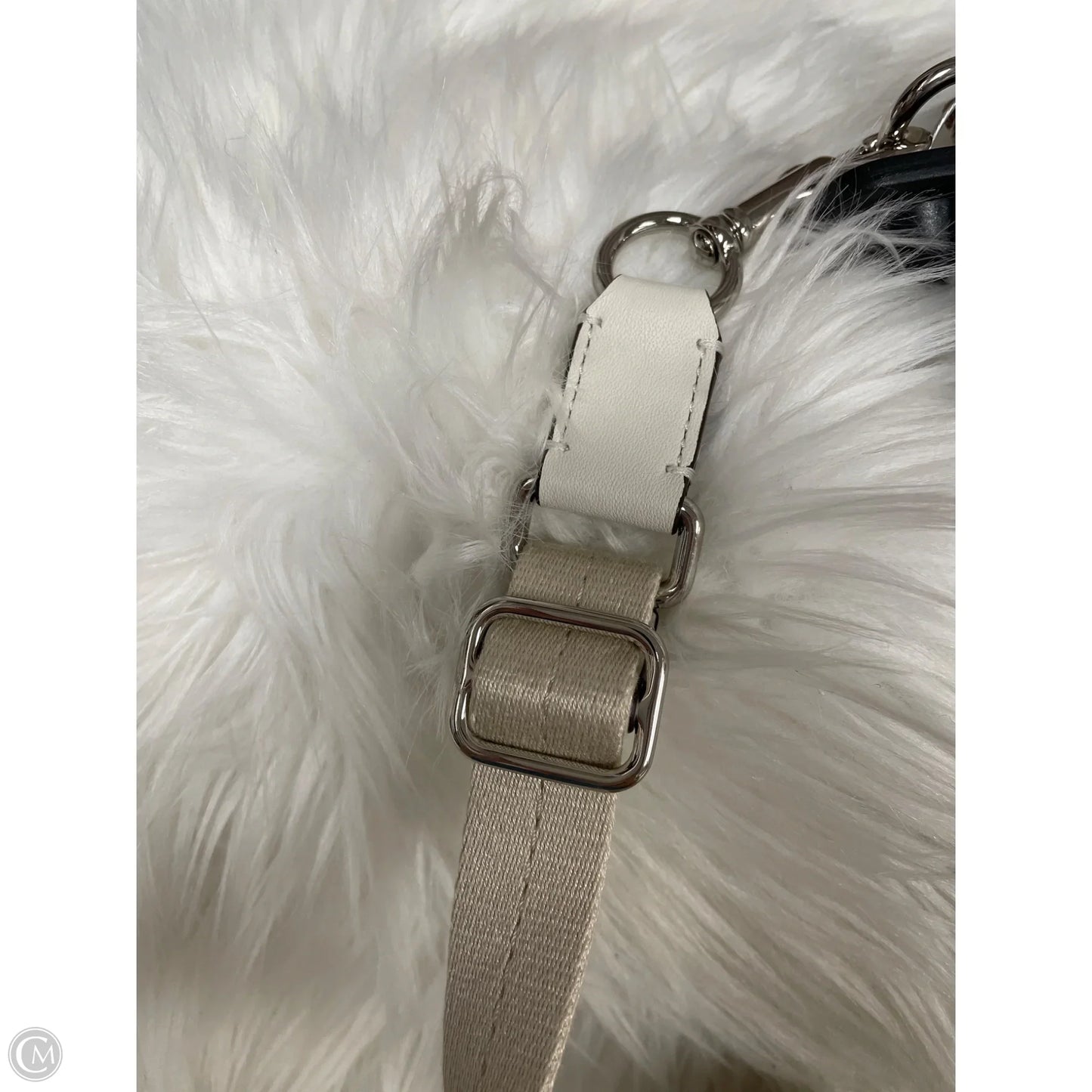 Crossbody Designer By Coach, Size: Small