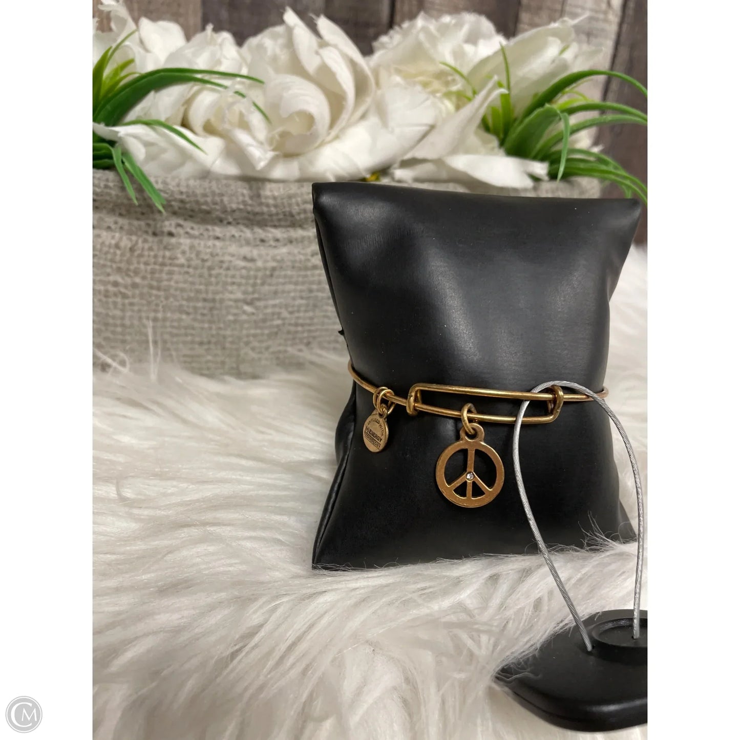 Bracelet Bangle By Alex And Ani