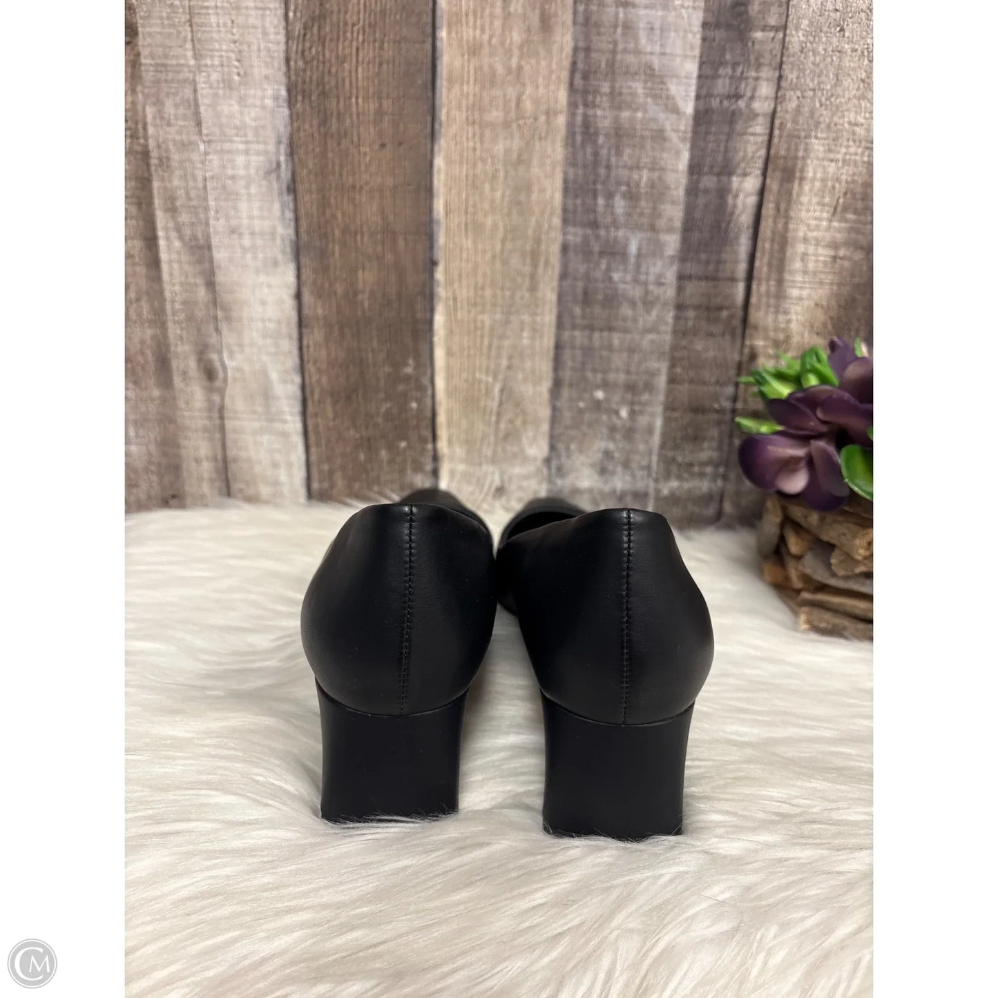 Shoes Heels Block By Franco Sarto In Black, Size: 9
