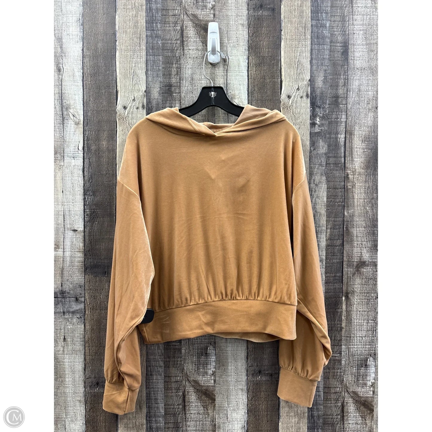 Top Long Sleeve By Express In Brown, Size: L