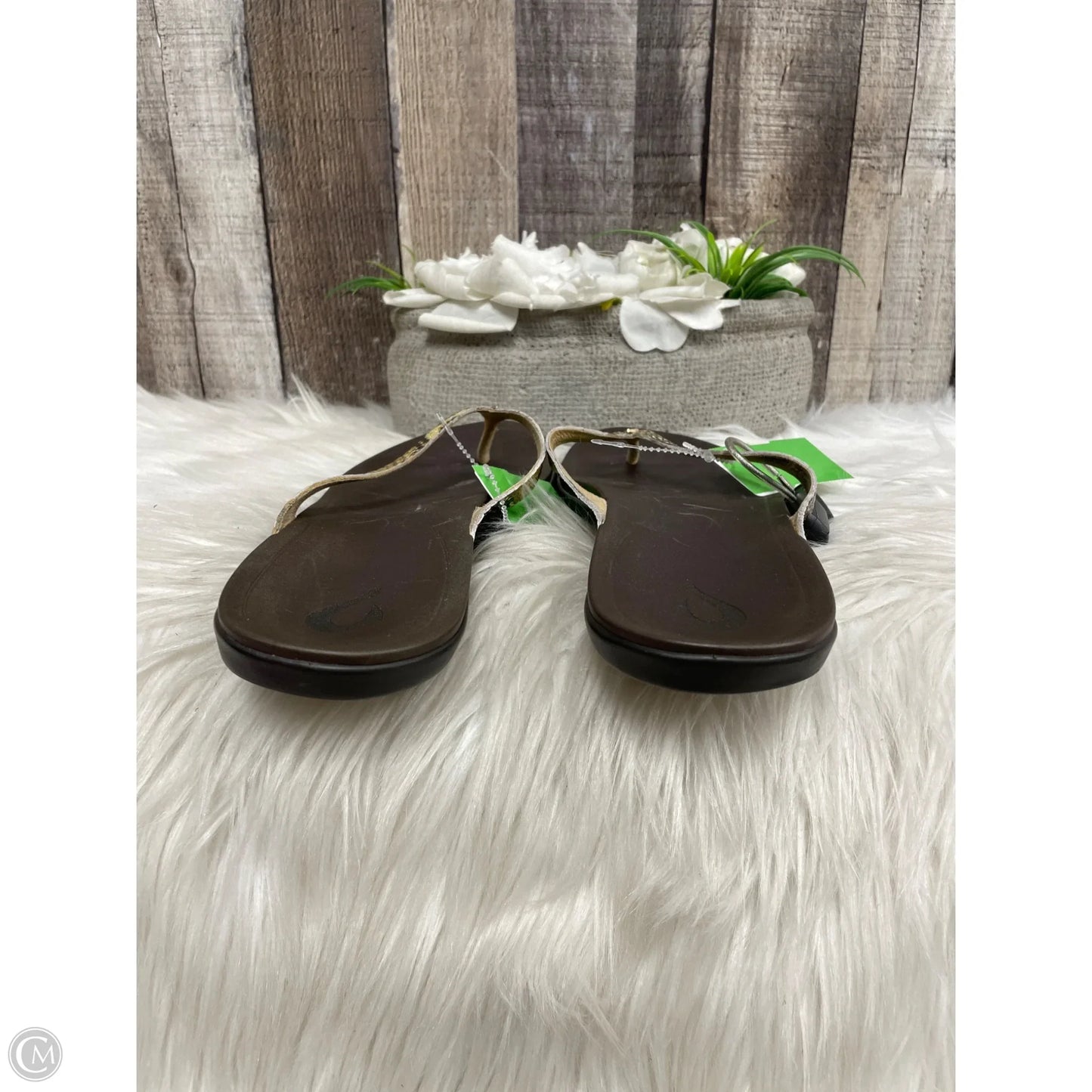 Sandals Flats By Clarks In Green, Size: 8.5
