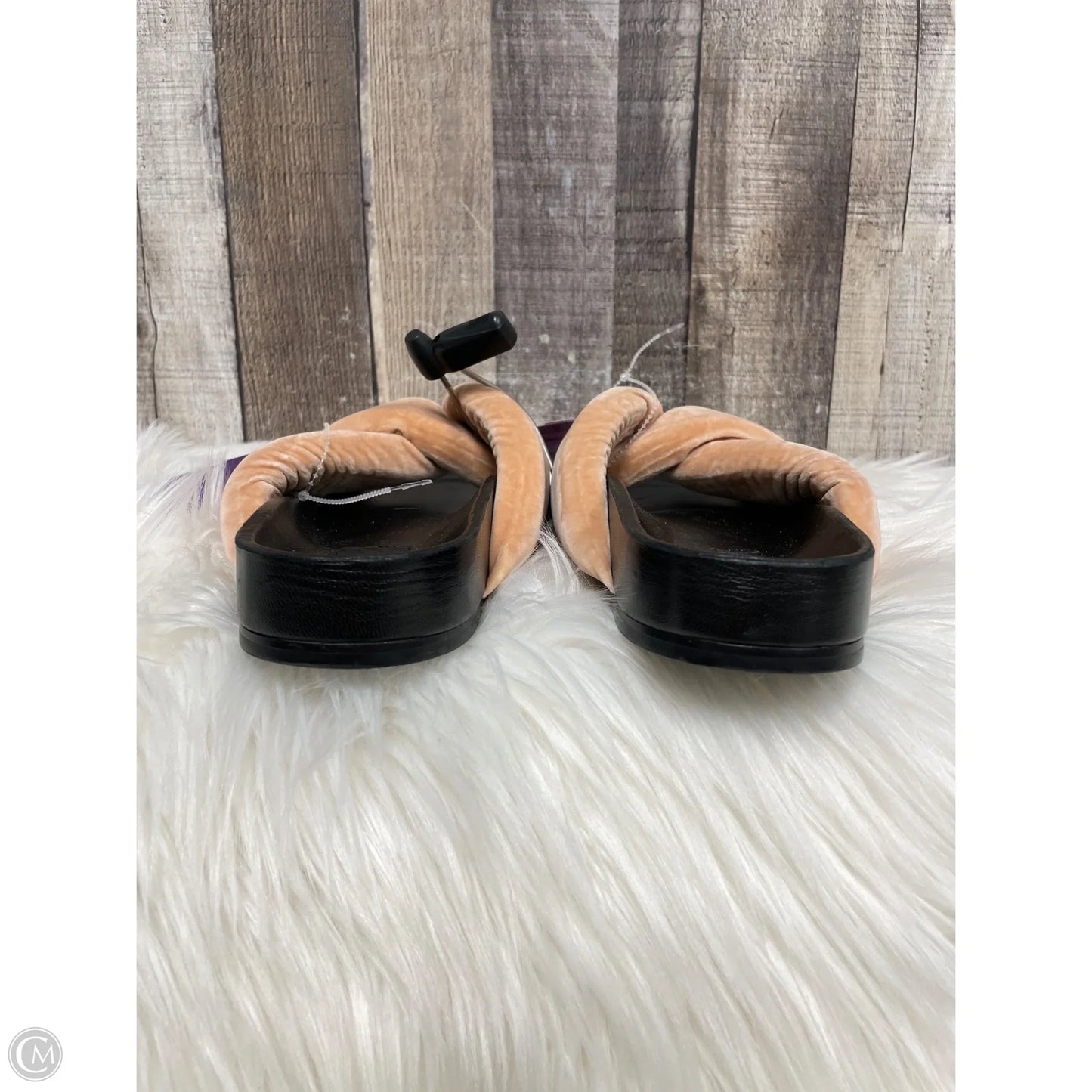 Sandals Luxury Designer By Chloe In Peach, Size: 11