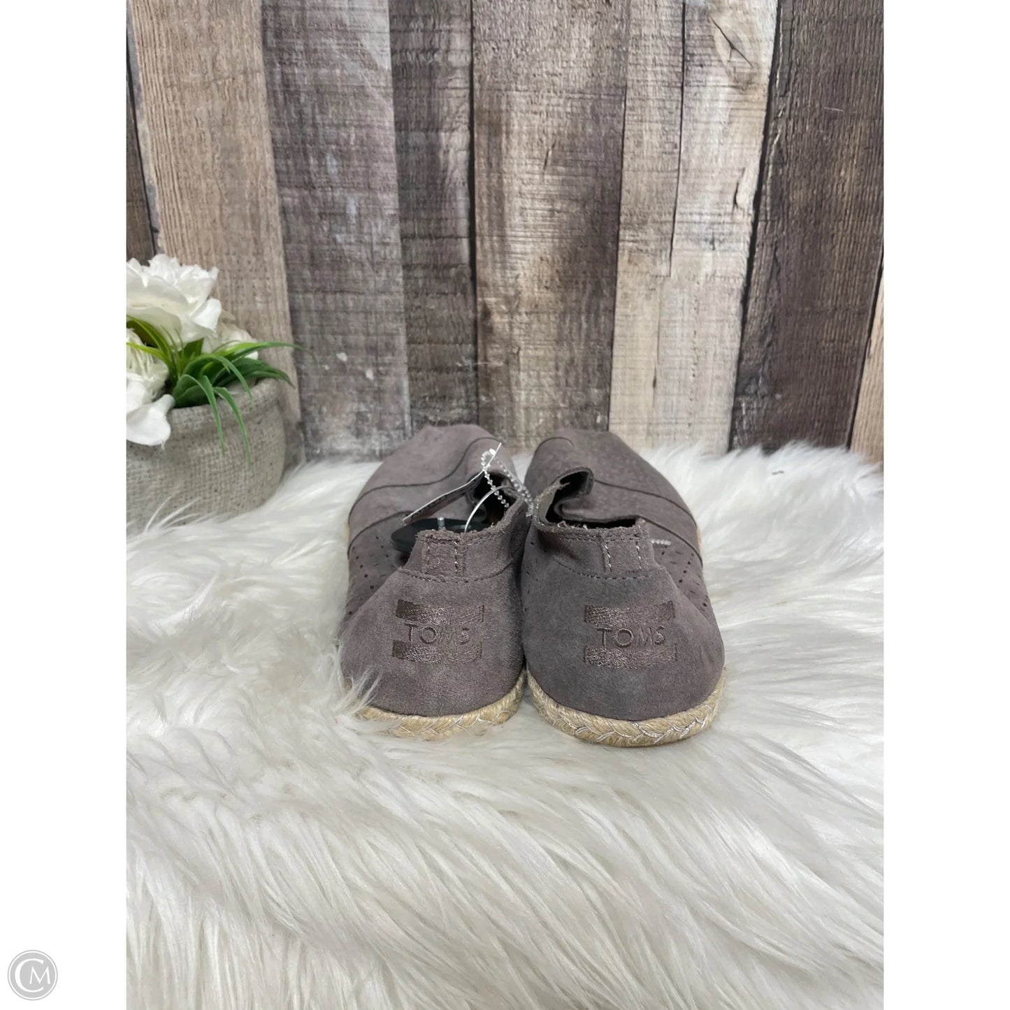 Shoes Flats By Toms In Grey, Size: 10