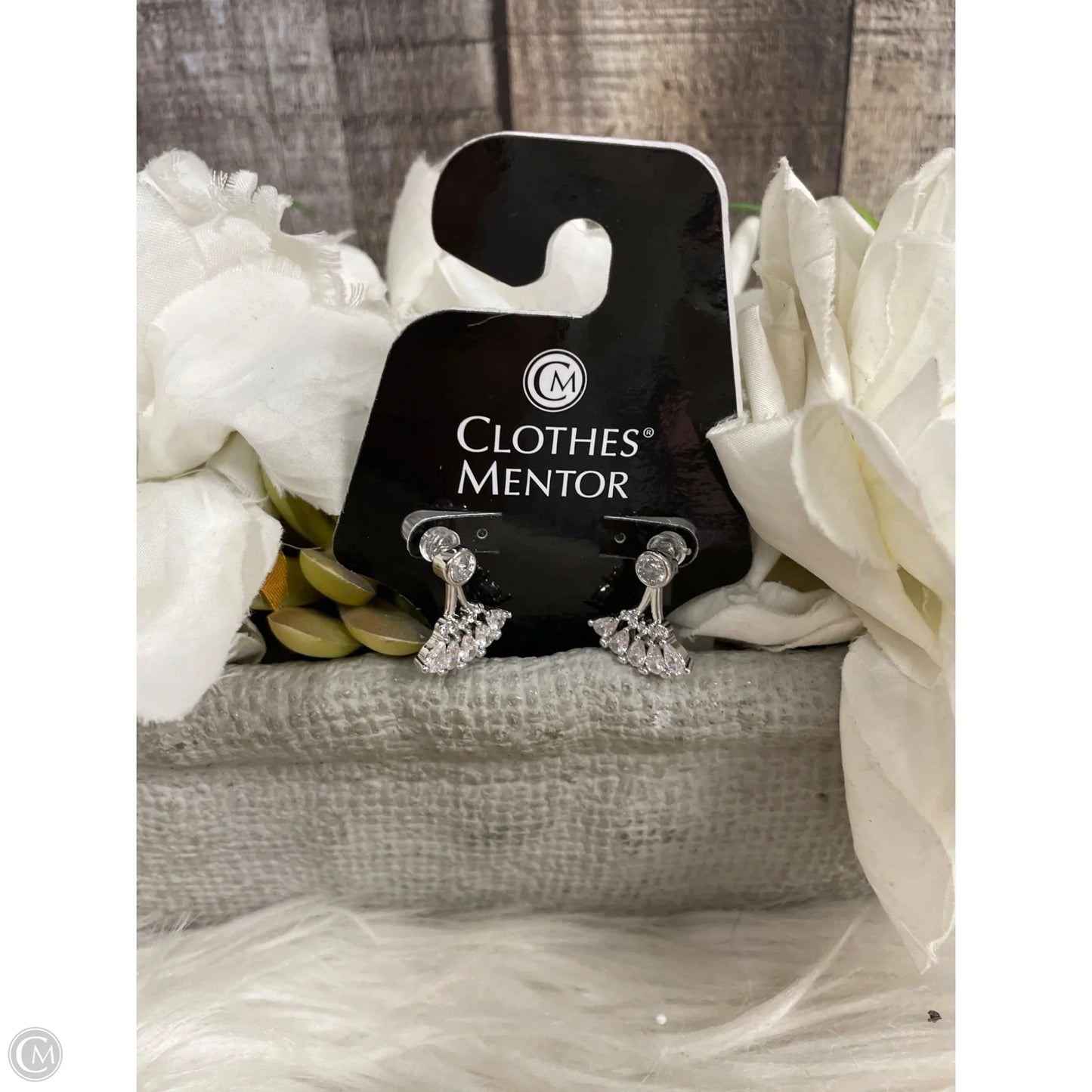 Earrings Other By Cme