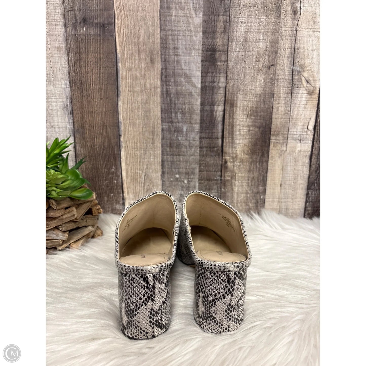 Shoes Heels Block By Marc Fisher In Snakeskin Print, Size: 8