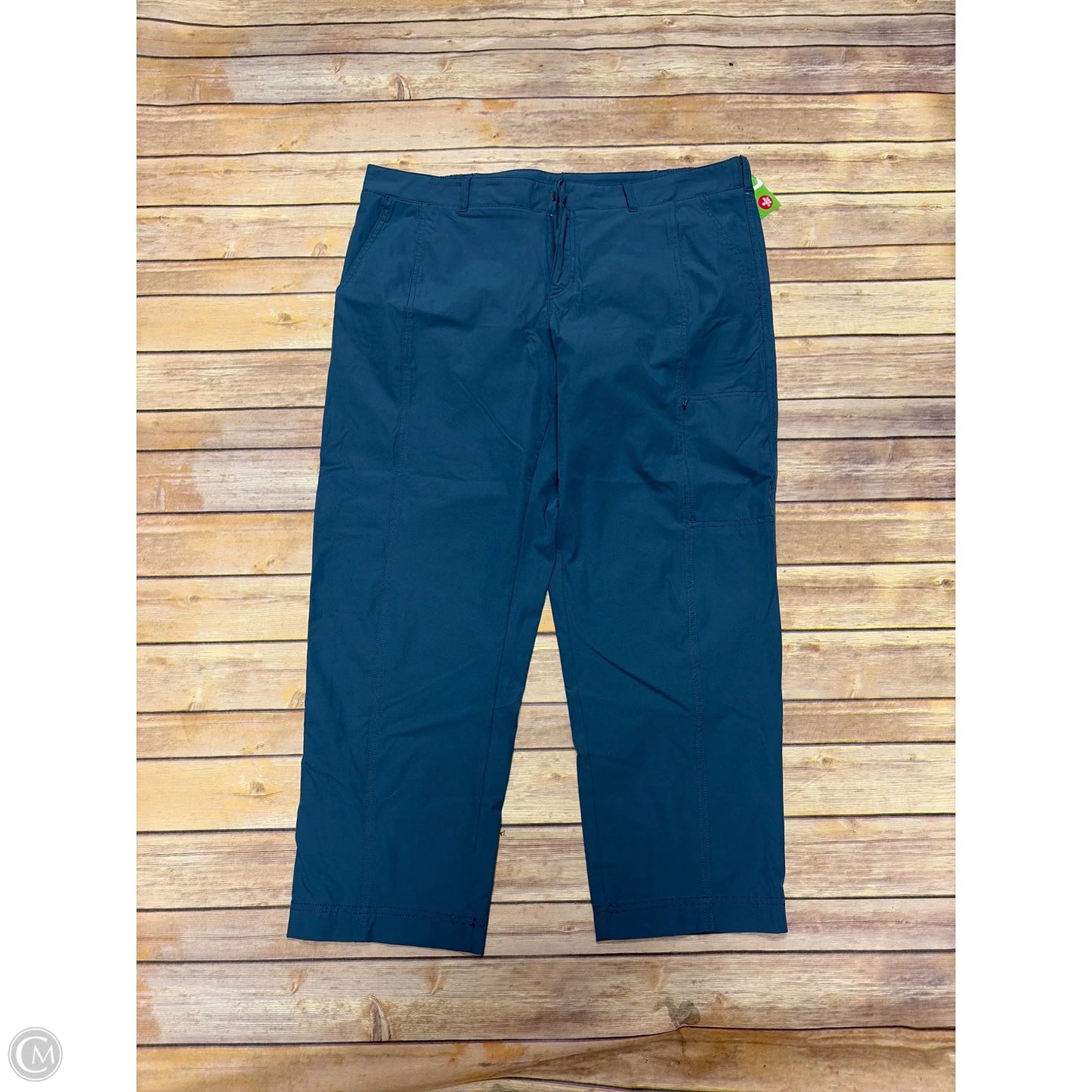 Athletic Pants By Kirkland In Blue, Size: L
